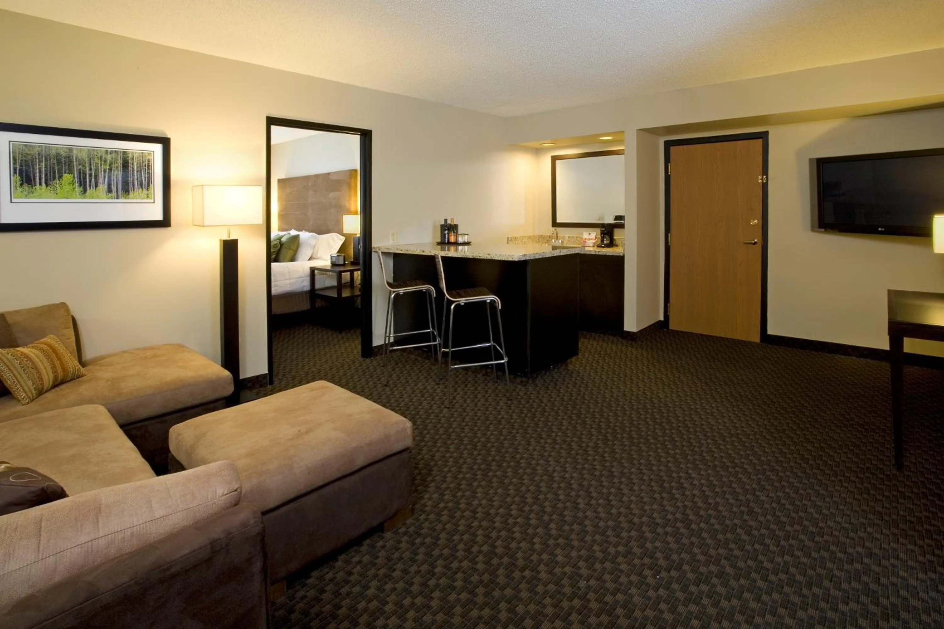 TV and multimedia in Hyatt Regency Green Bay