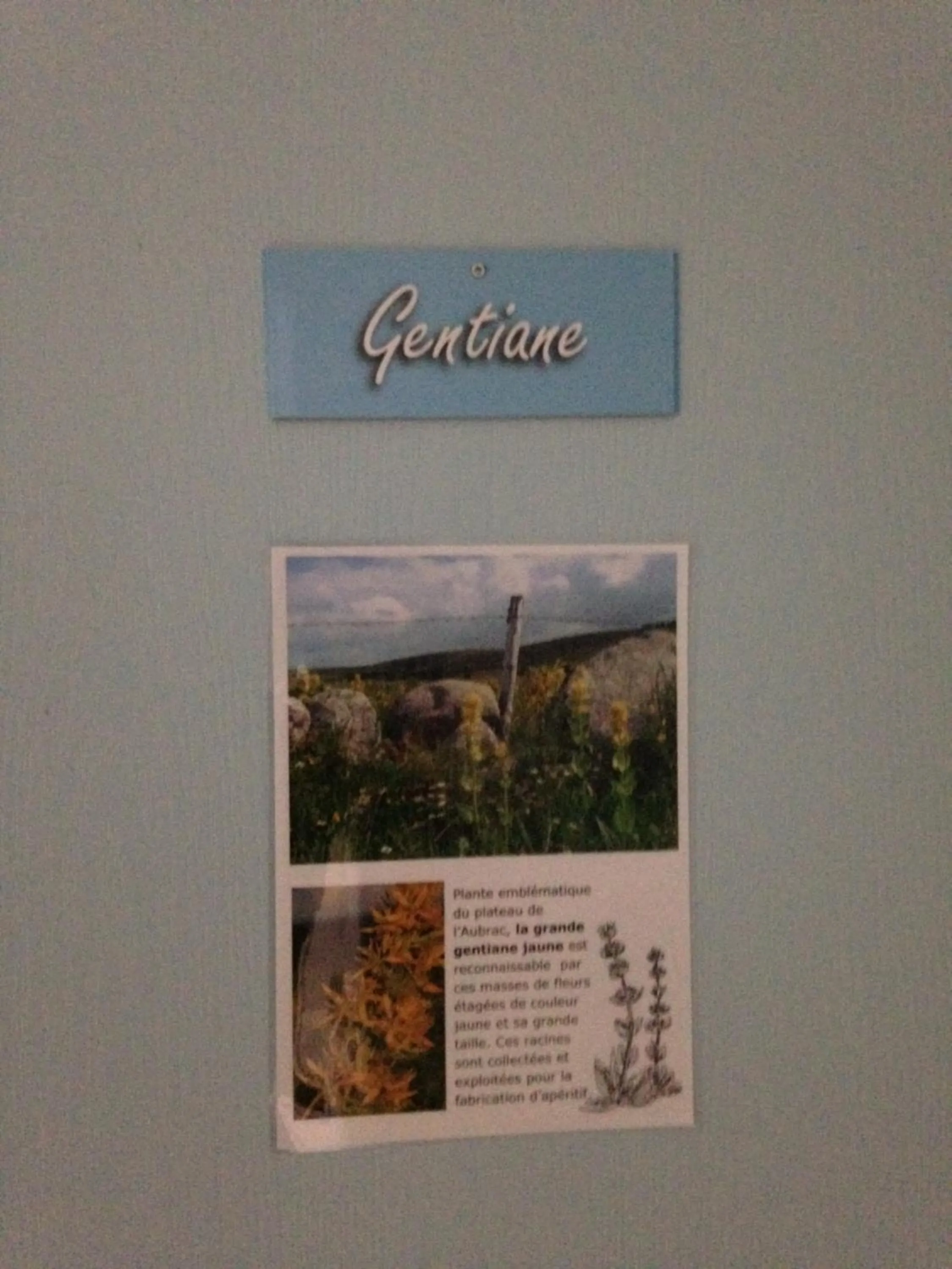 GITE DU FORAIL
