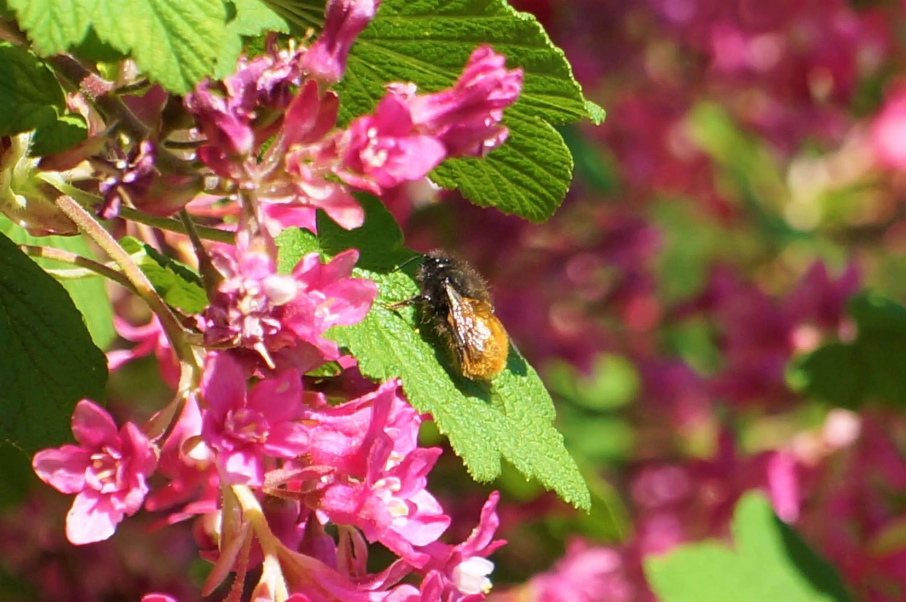 Summer in B&B Les Tranchées