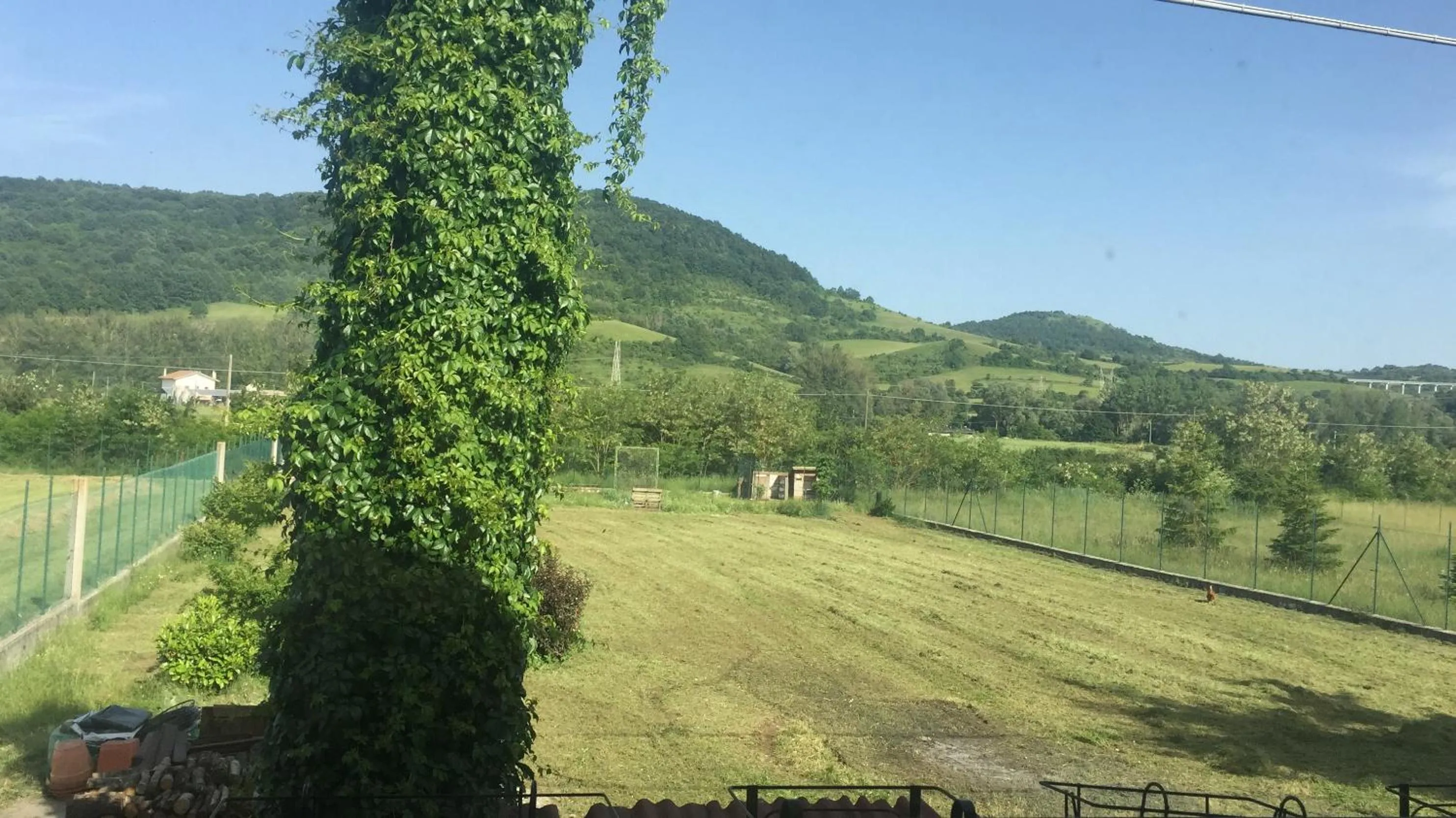 Pets in I TRE NOCI