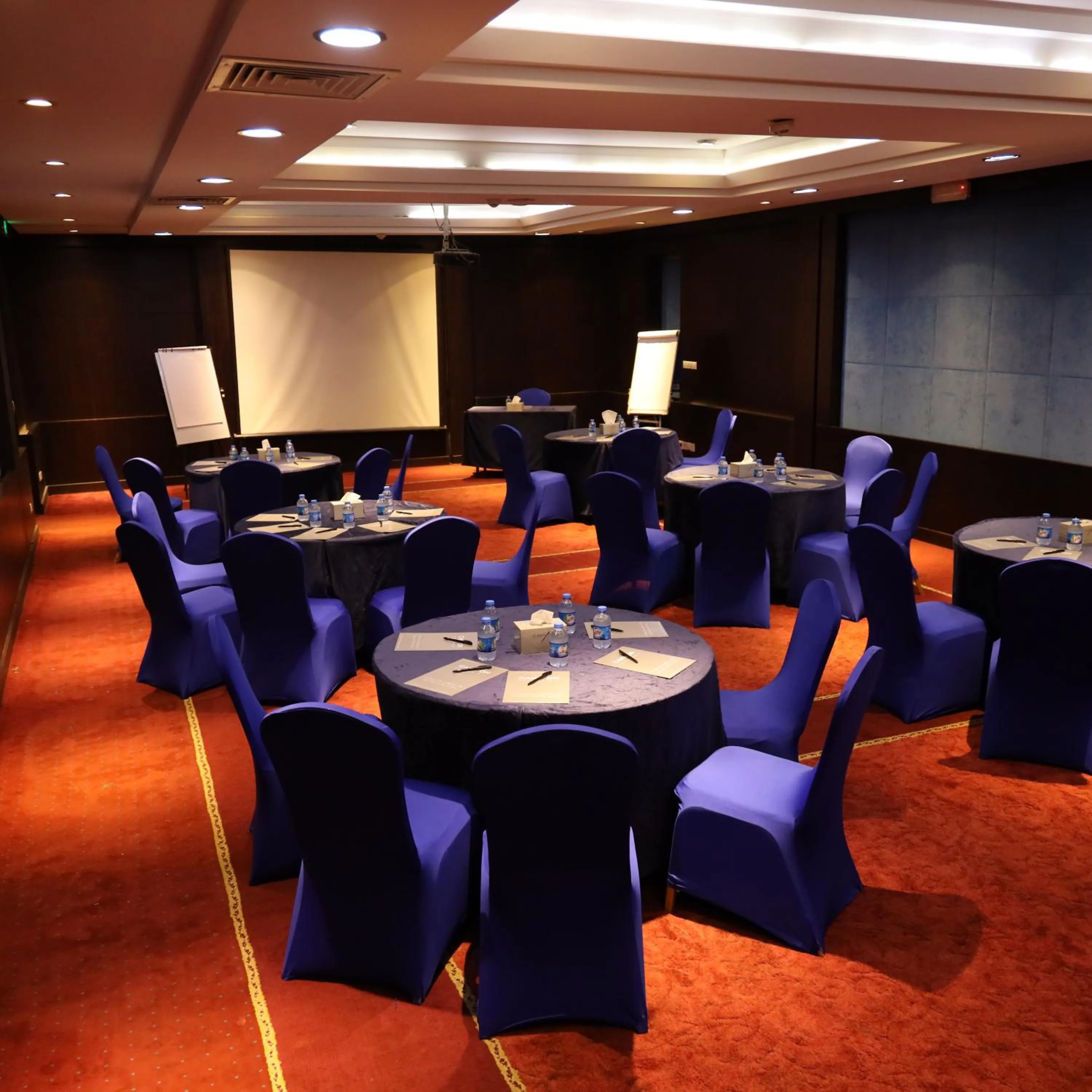 Meeting/conference room in Canyon Hotel Erbil