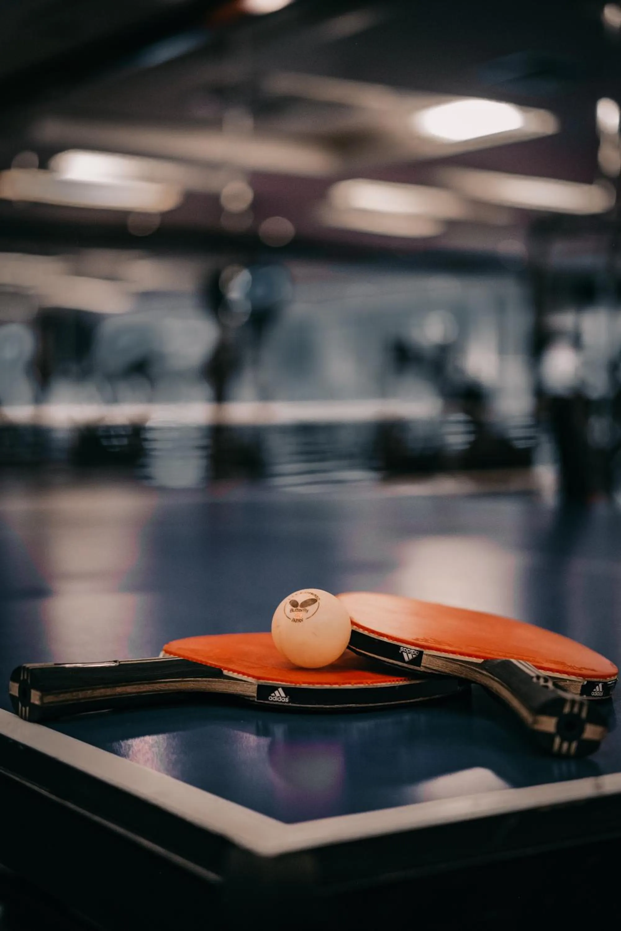 Property building in Canyon Hotel Erbil