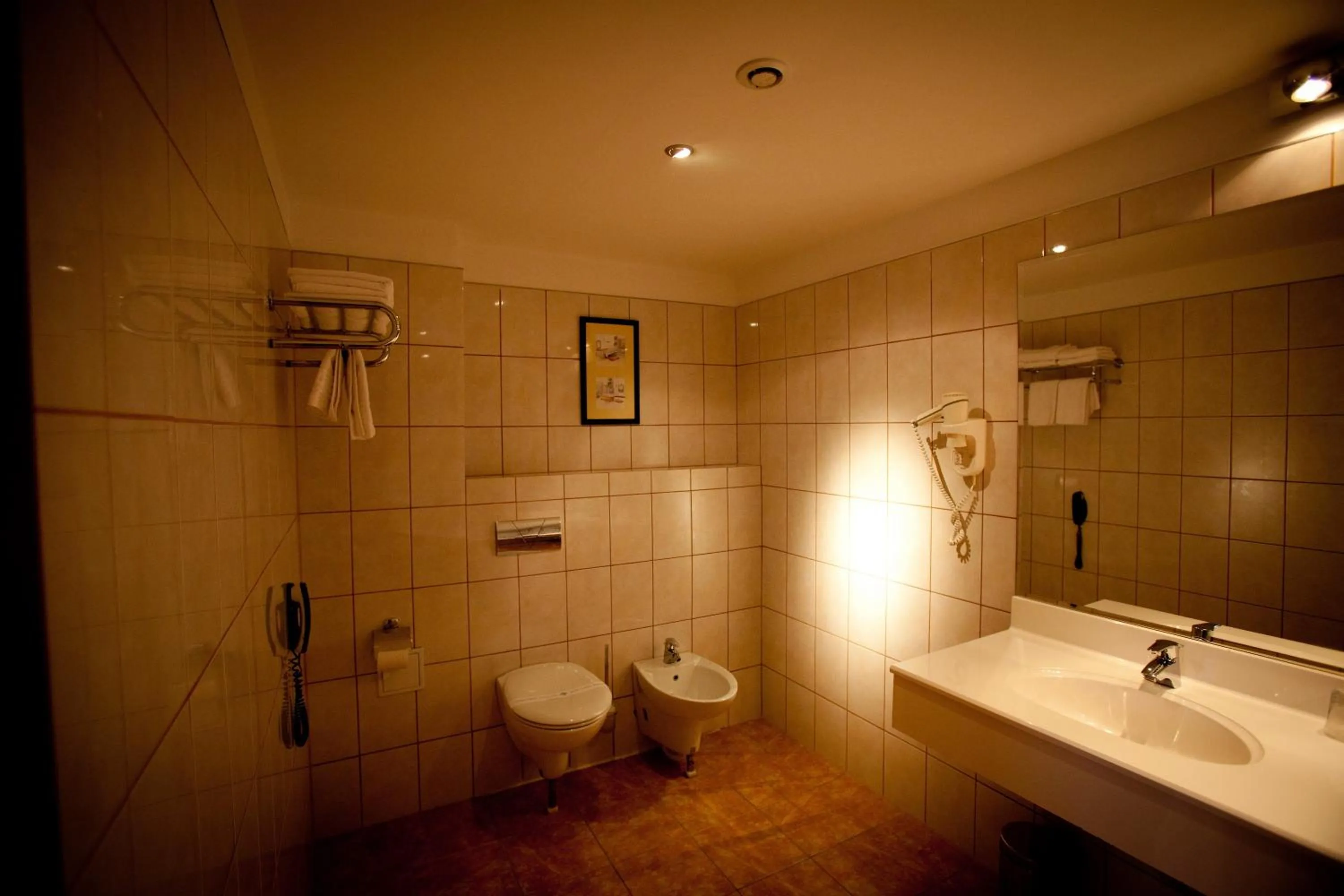 Bathroom in Hotel Maxim