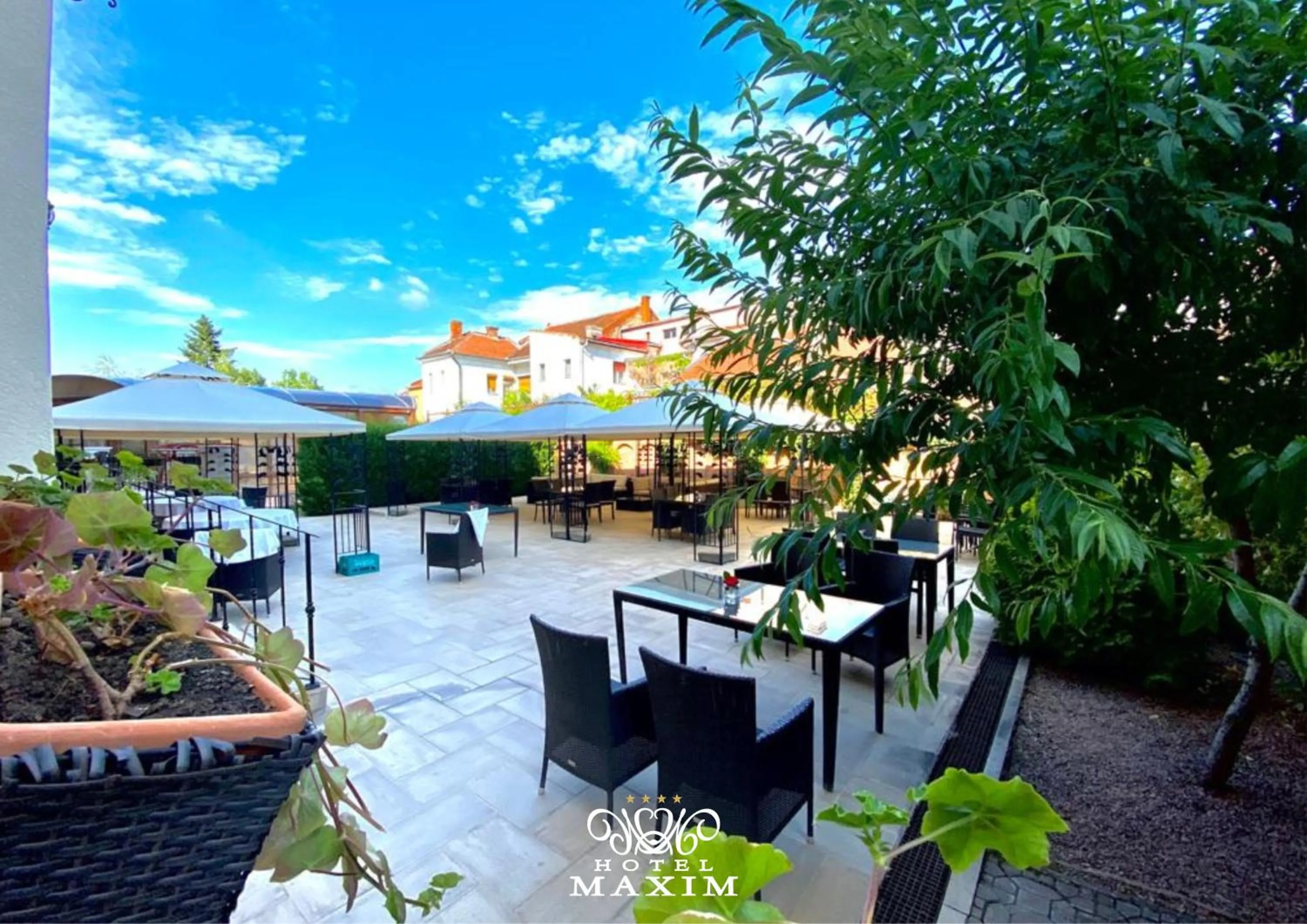 Garden in Hotel Maxim