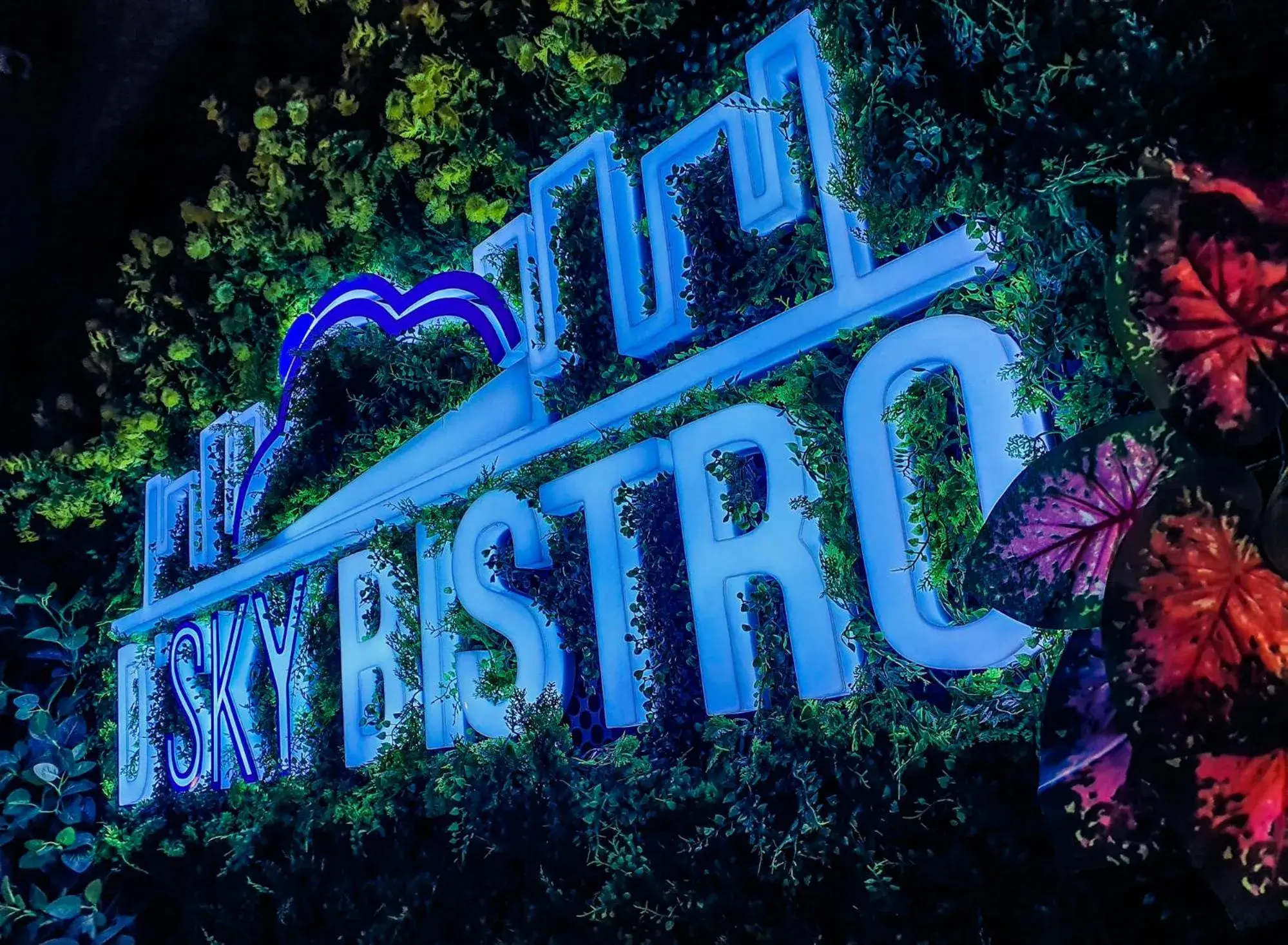 Restaurant/places to eat in D'Bamboo Suites Restaurant/places to eat in D'Bamboo Suites