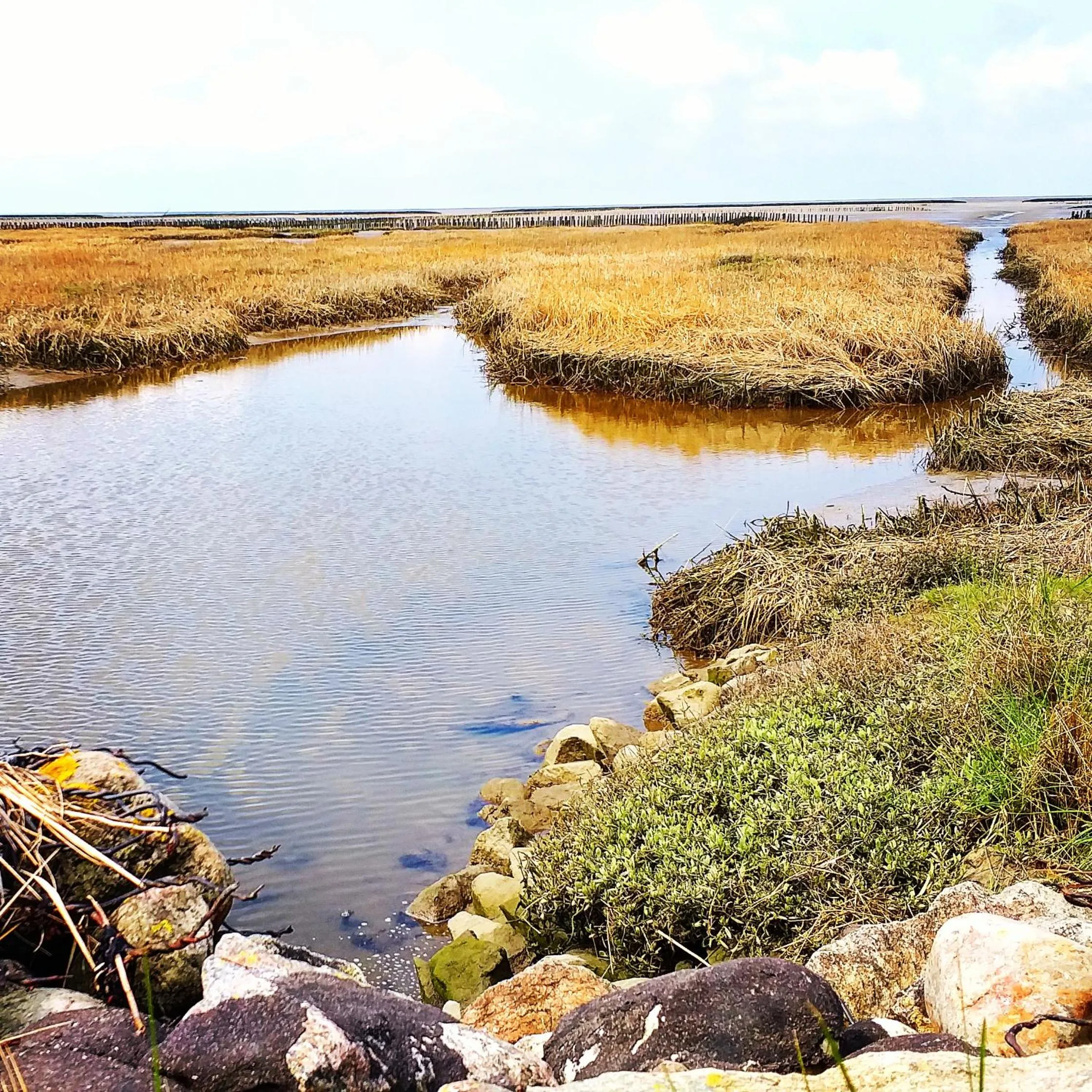 Nearby landmark in Ahoi