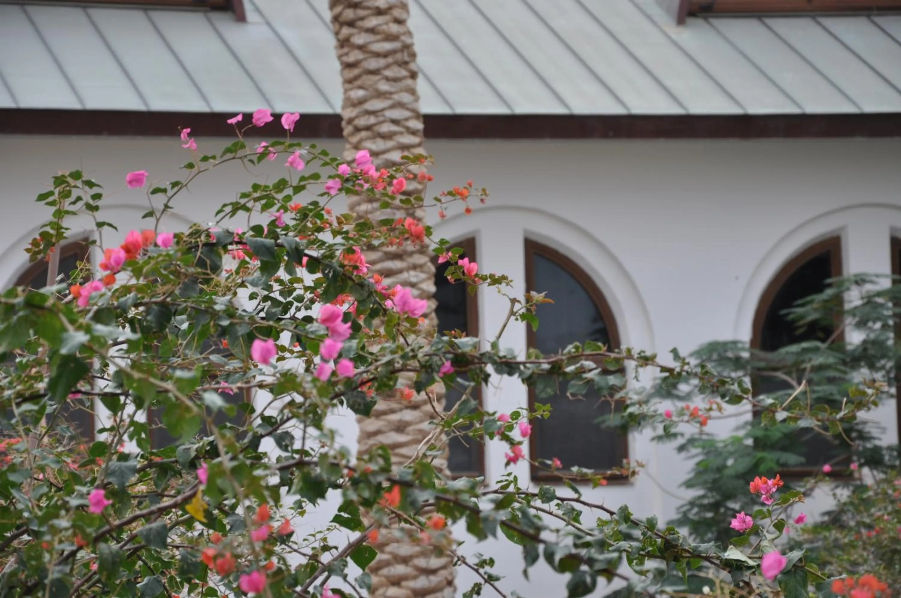 Natural landscape in Russian Pilgrim Residence