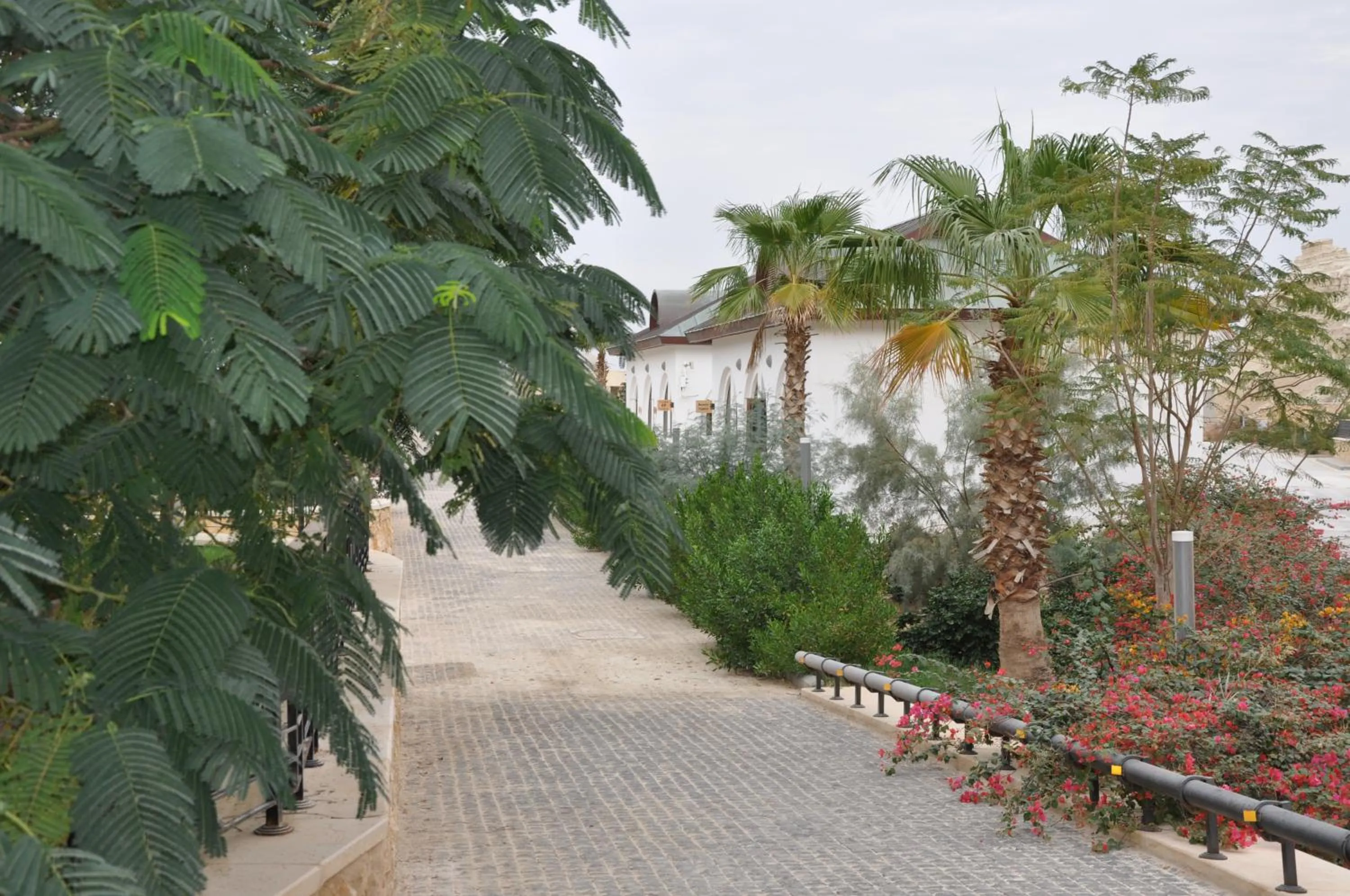 Natural landscape in Russian Pilgrim Residence