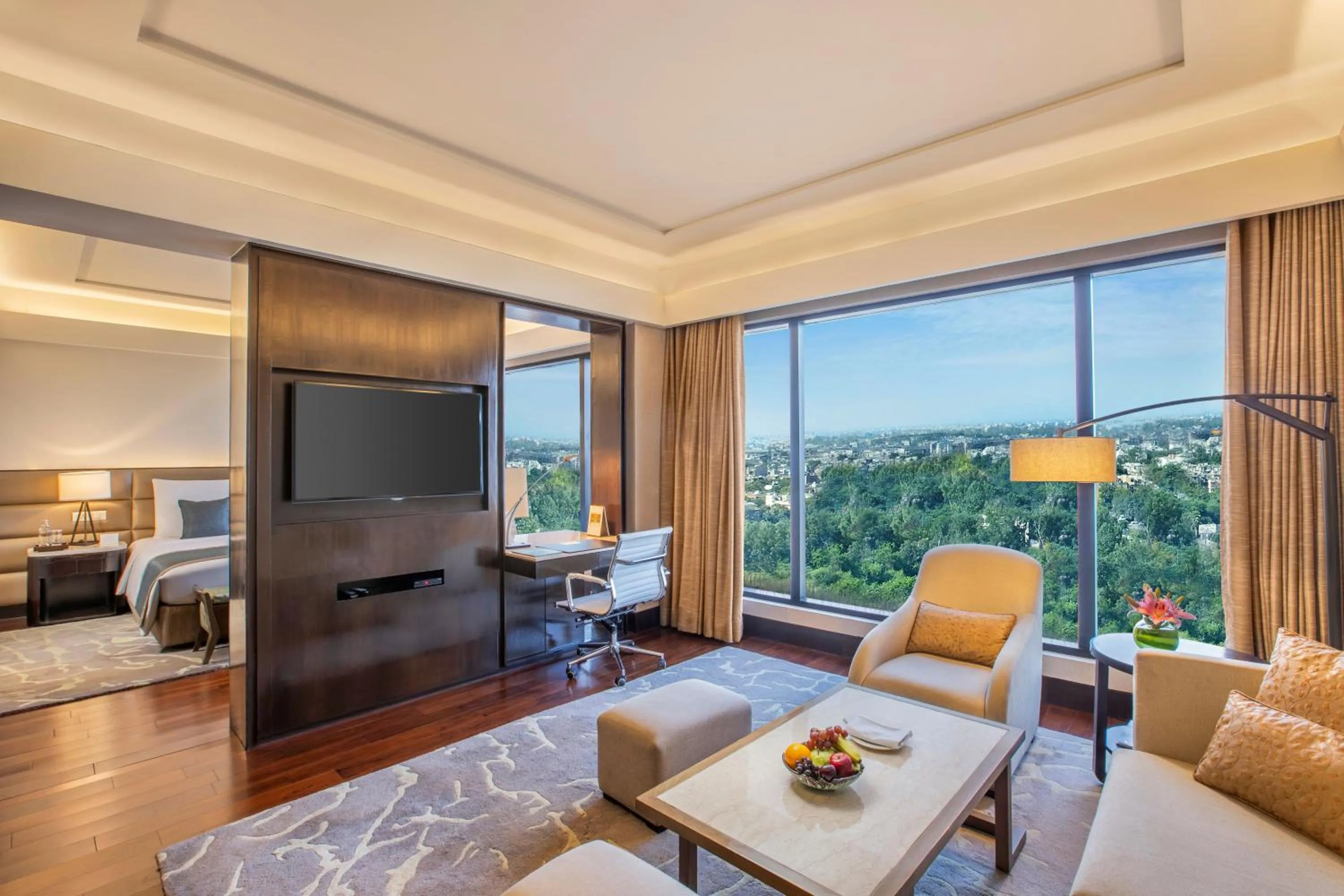 TV and multimedia in The Leela Ambience Convention Hotel Delhi