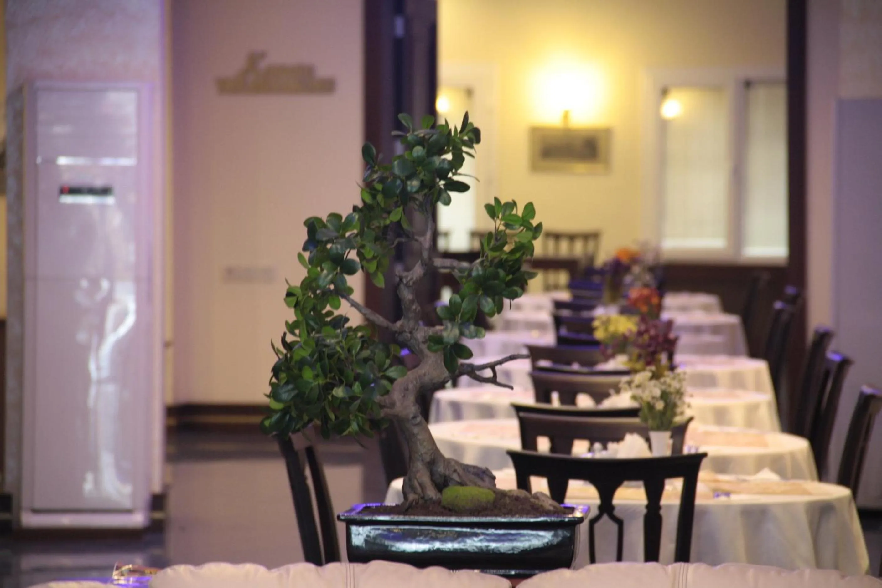 Restaurant/places to eat in Susuzlu Seckin Hotel