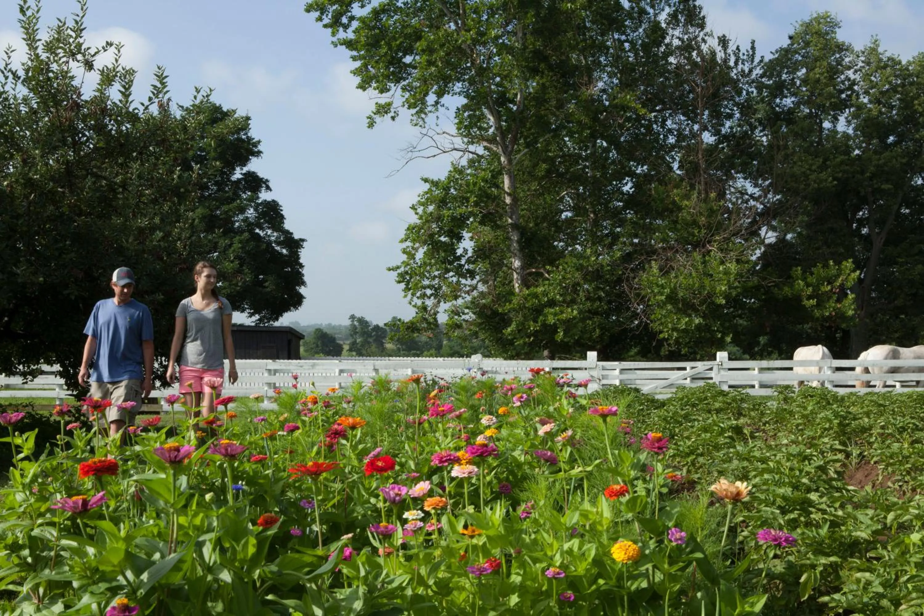 Property building in Shaker Village of Pleasant Hill