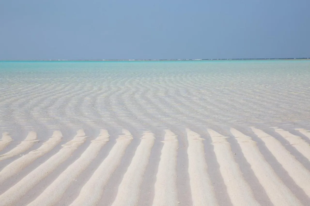 Natural landscape in MEEDAFU'S YUI HOSTEL and COFFEE