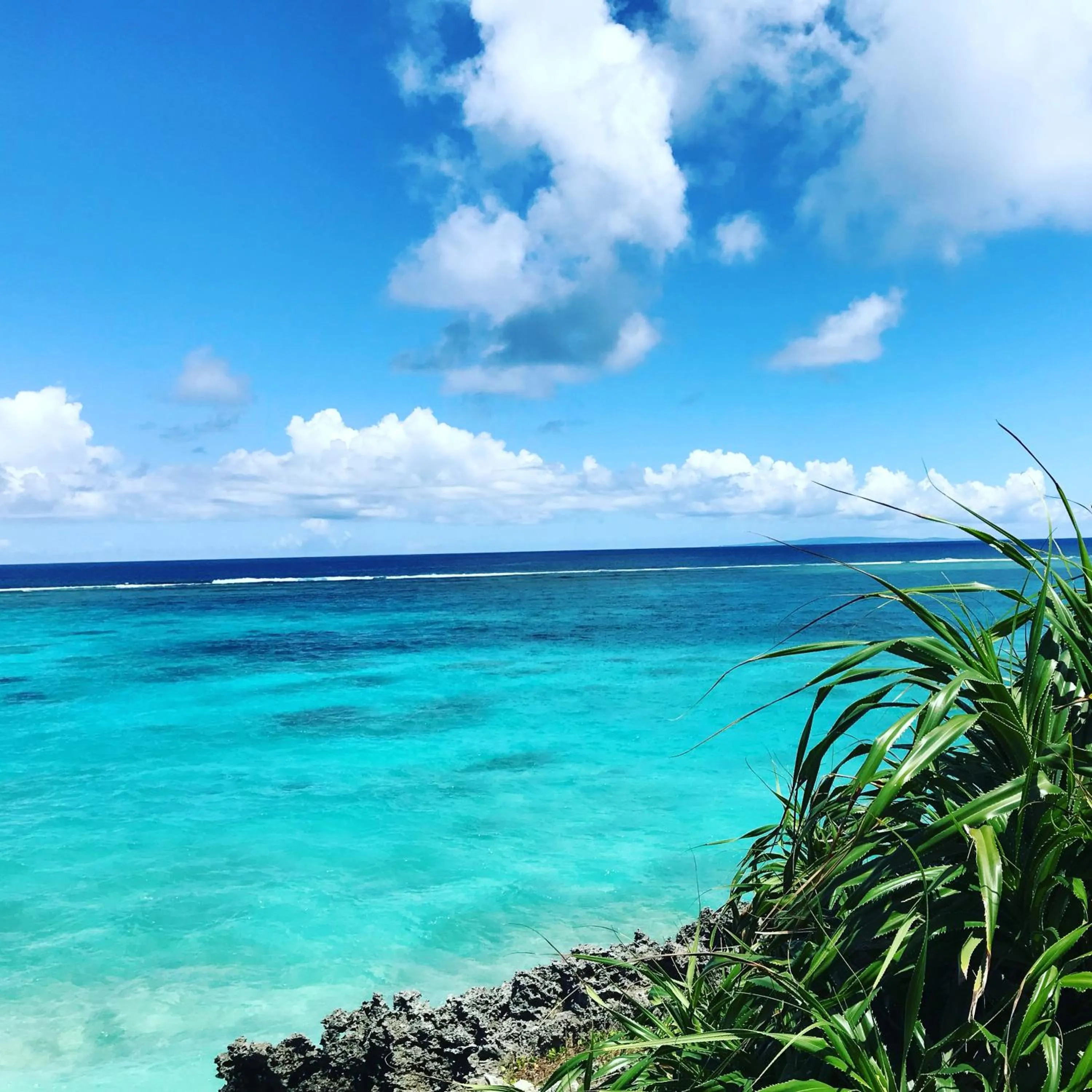Natural landscape in MEEDAFU'S YUI HOSTEL and COFFEE