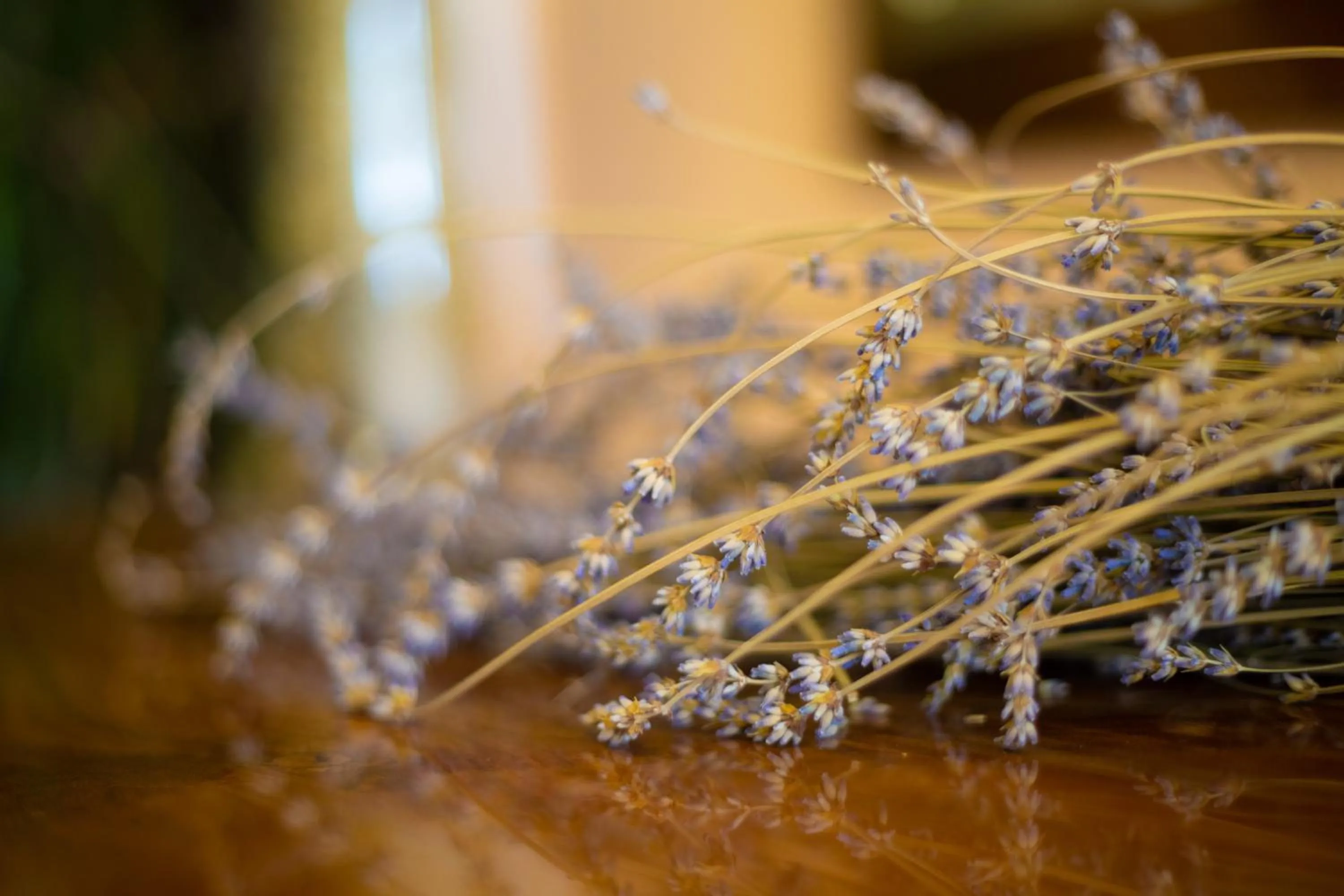 Natural landscape in Hotel Vila Tina