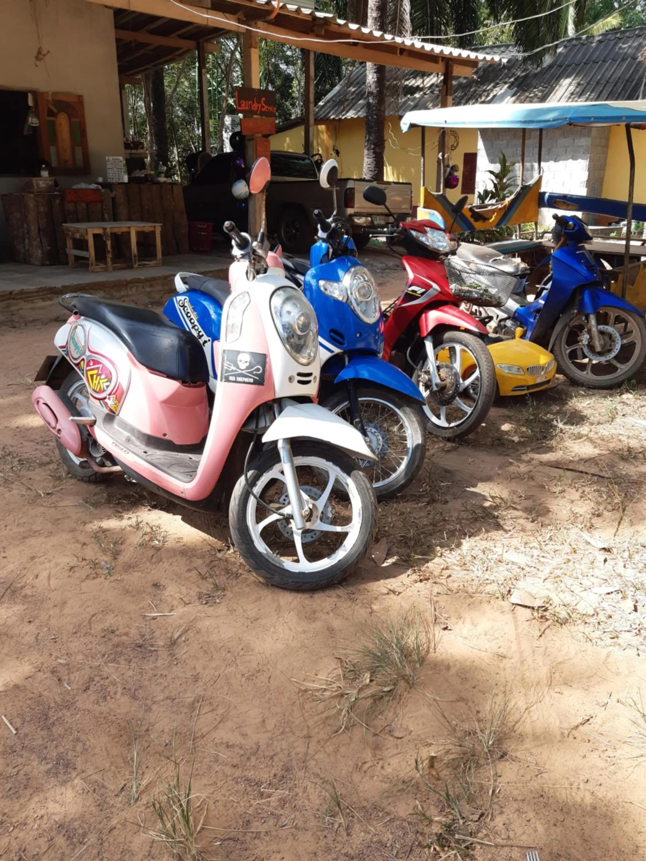 Activities in Som PalmGarden