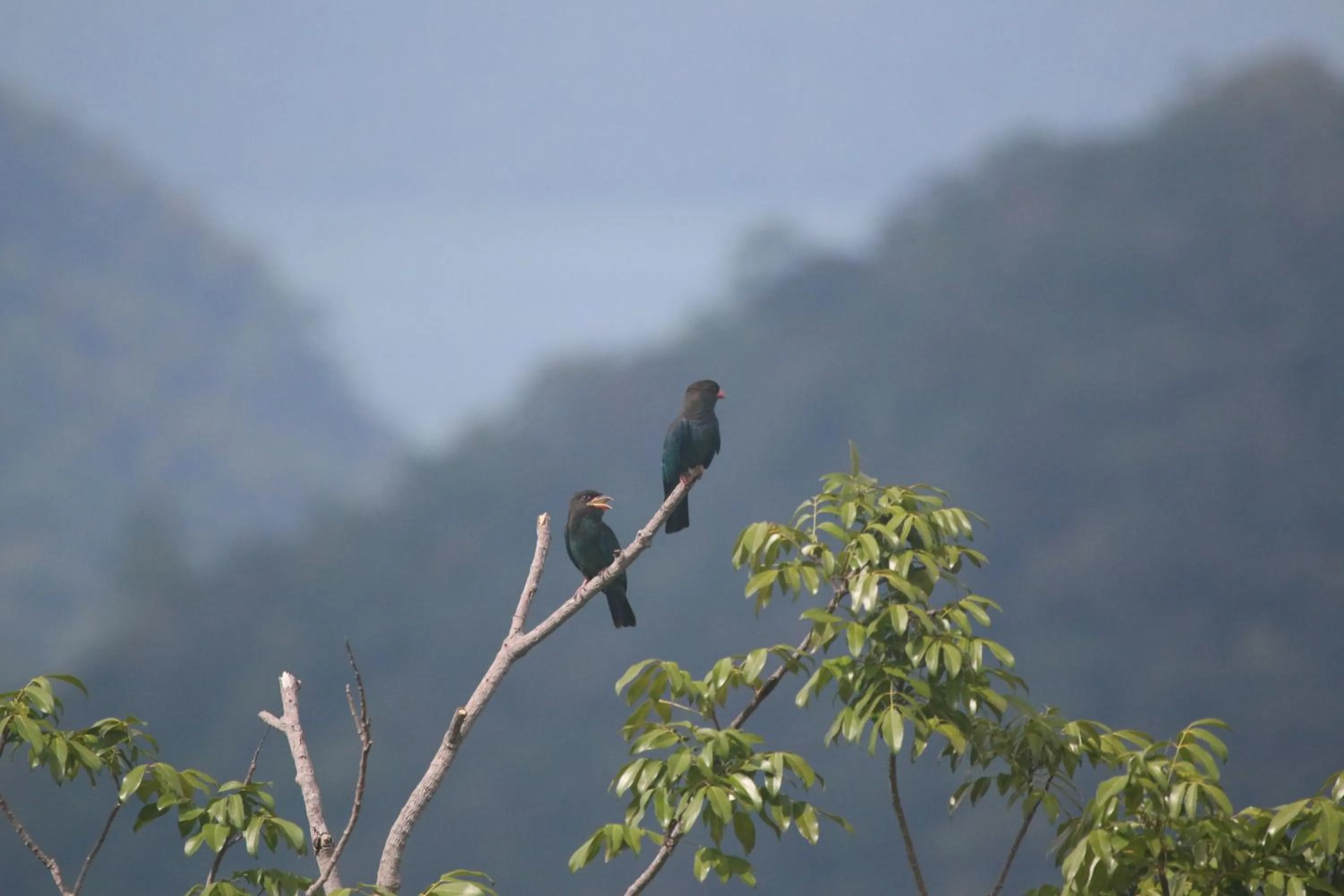 Natural landscape in Veranda Nautica