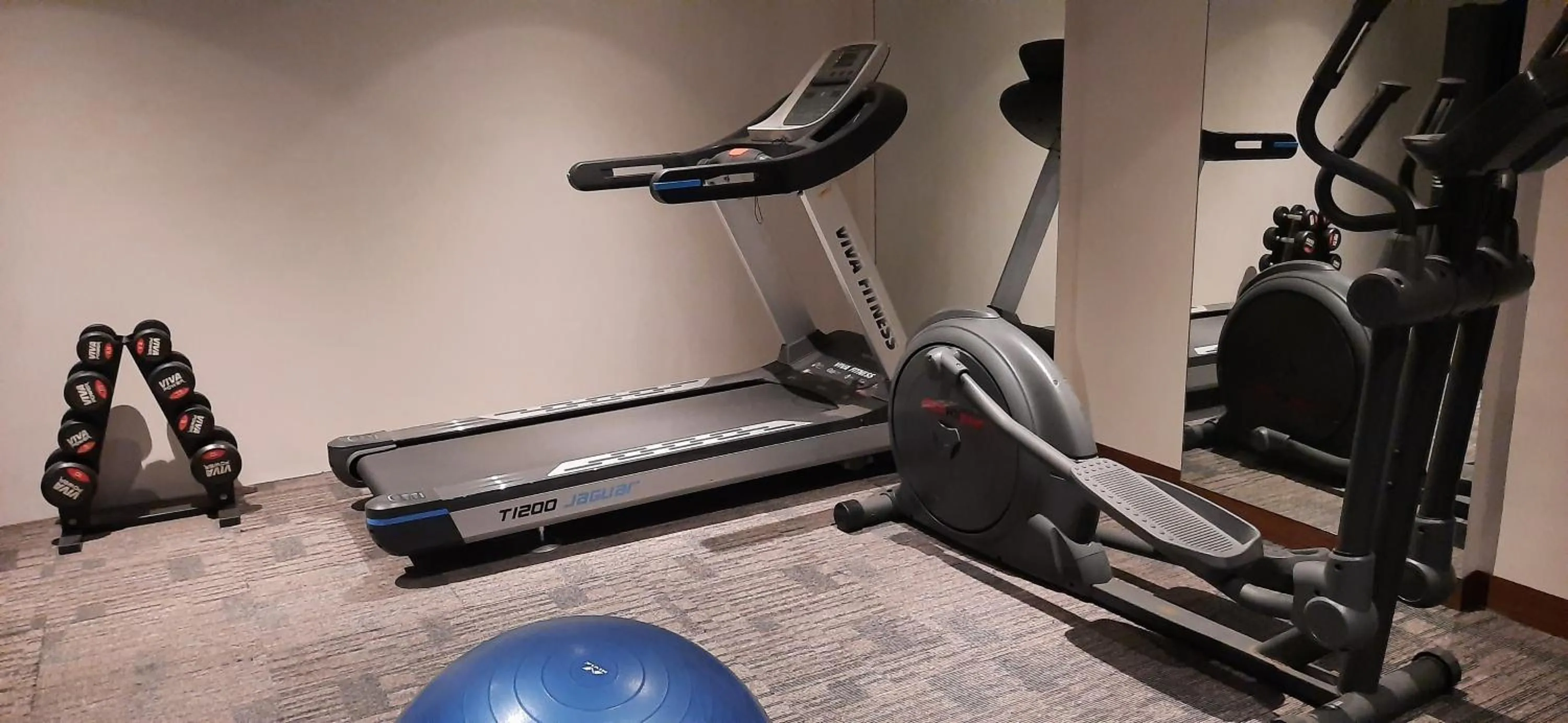 Fitness centre/facilities in Fortune Avenue, Jalandhar - Member ITC Hotels' Group