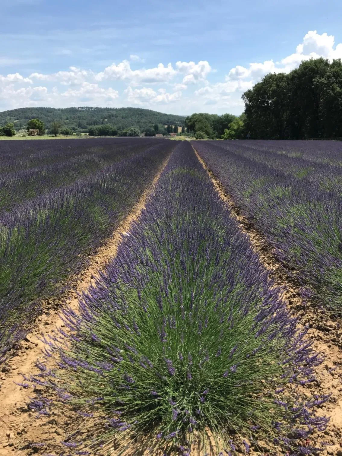 Nearby landmark in Les Sables d'Ocre & SPA