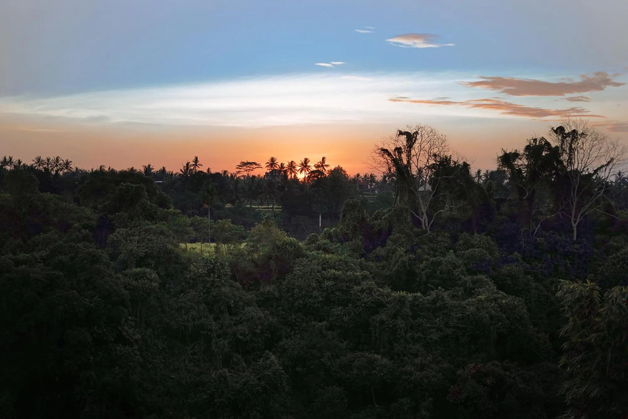 Natural landscape in Sunrise Villa Ubud