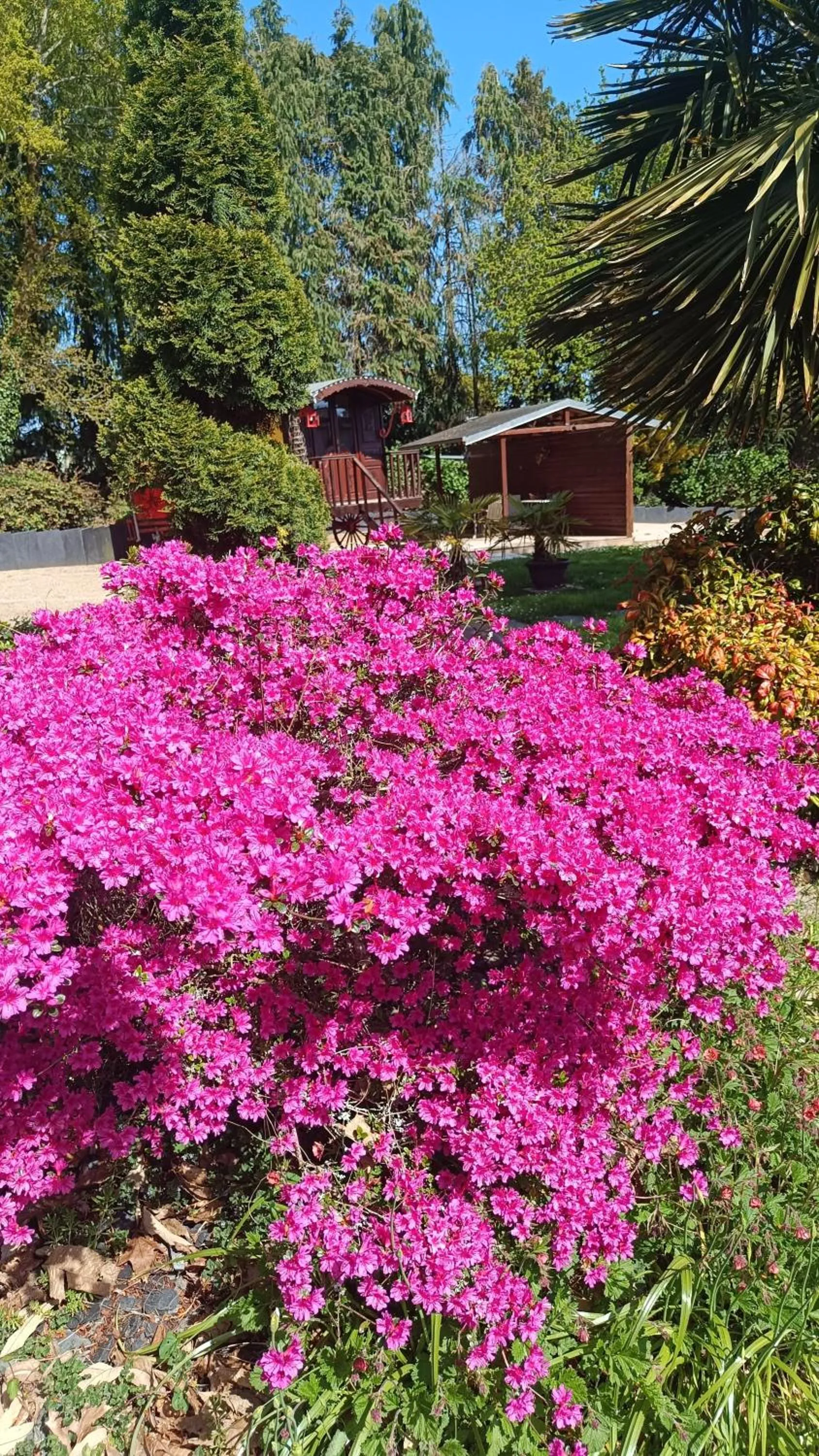 Garden in La Clé des Roulottes