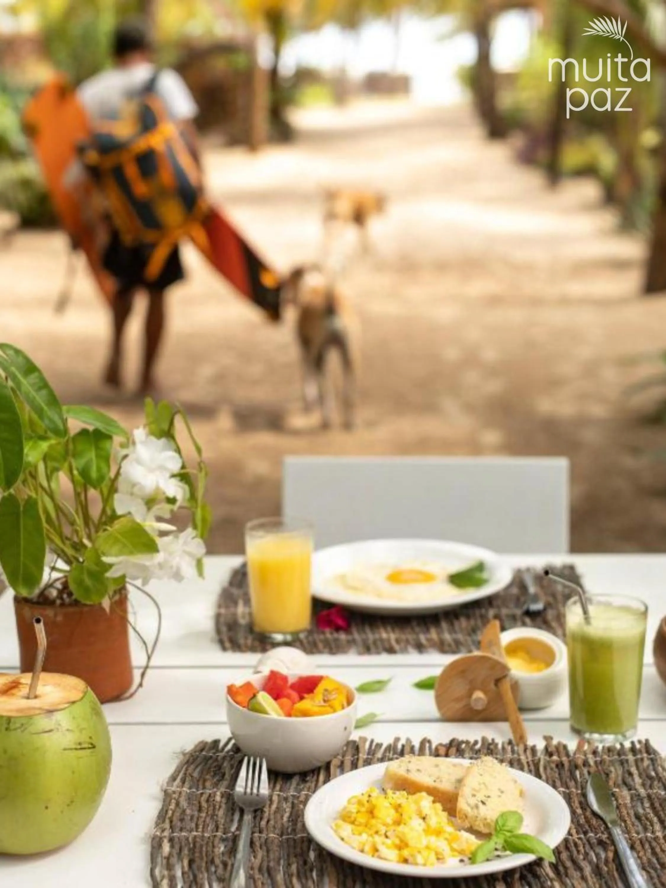 Natural landscape in Muita Paz