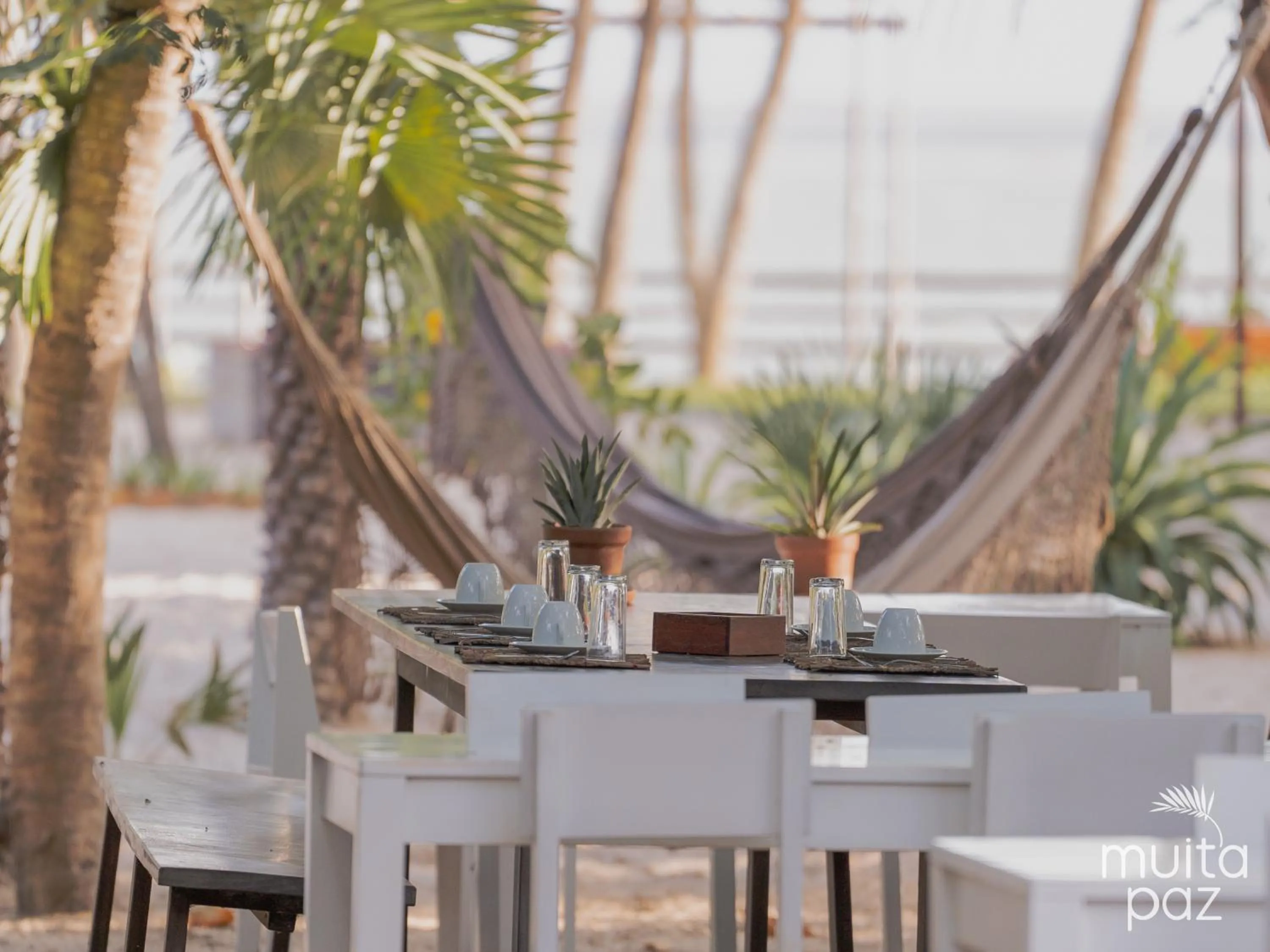 Natural landscape in Muita Paz