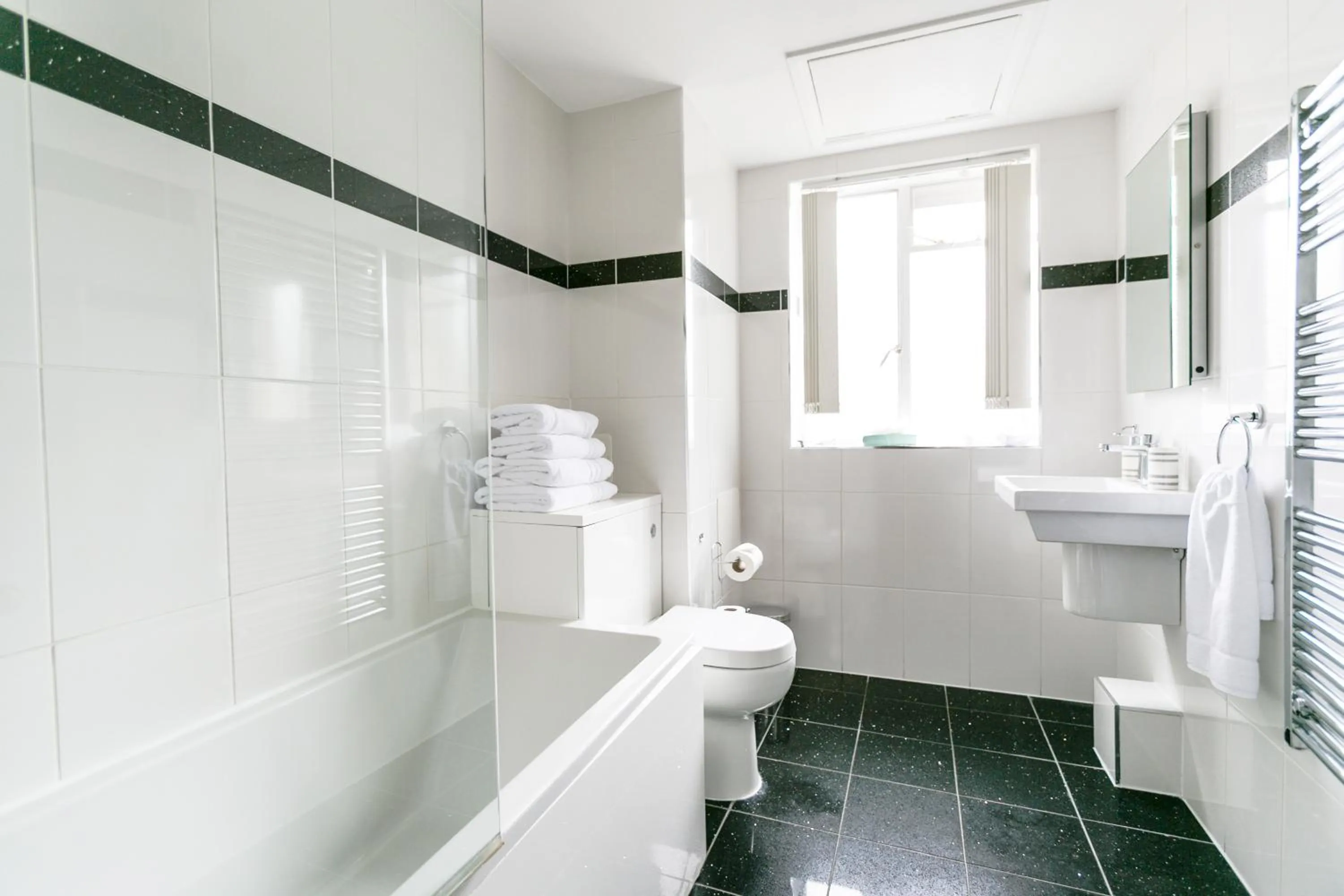 Toilet in Park Lane Apartments/Shaw House