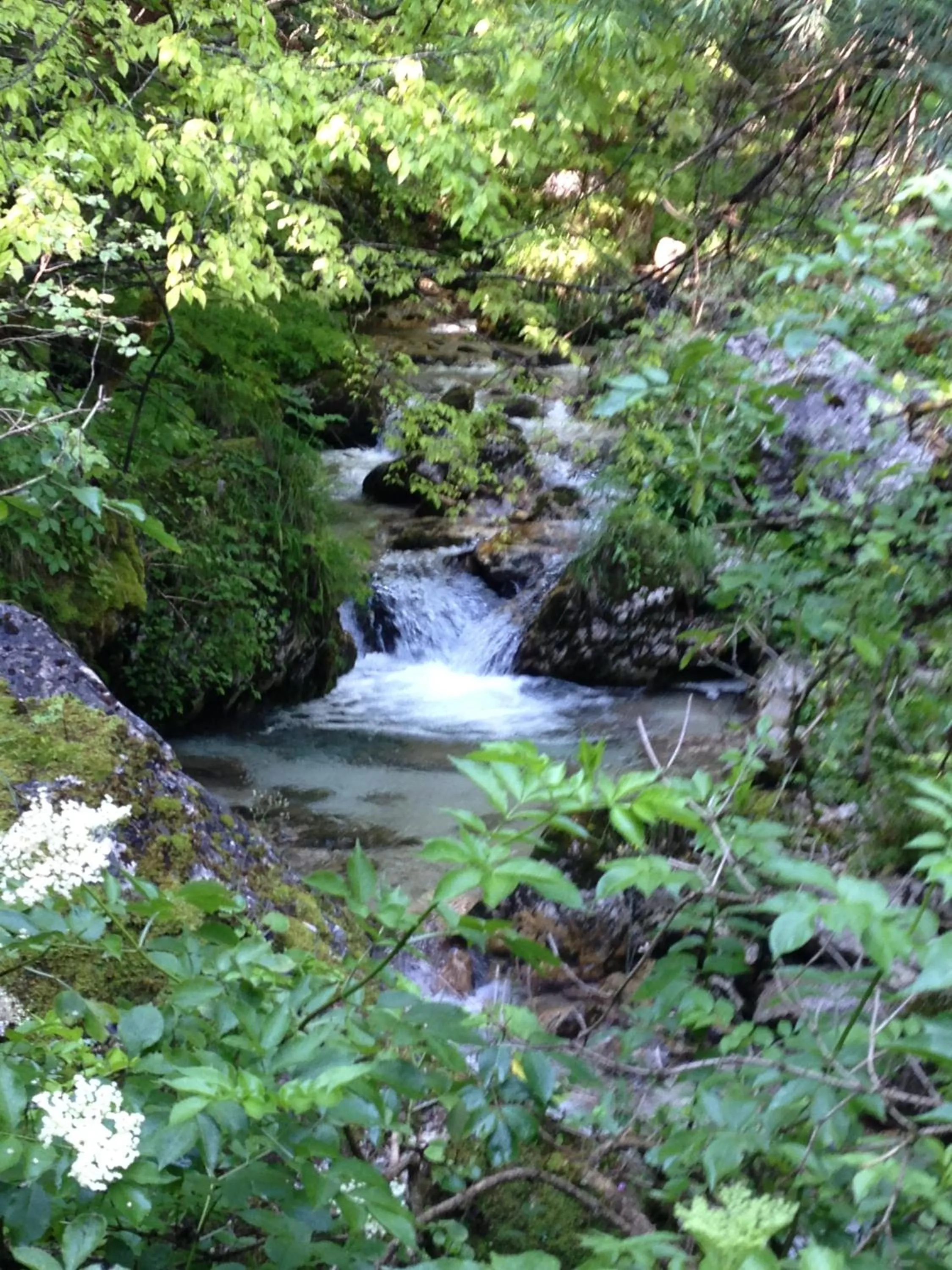 Hiking in Hotel Edelweiss
