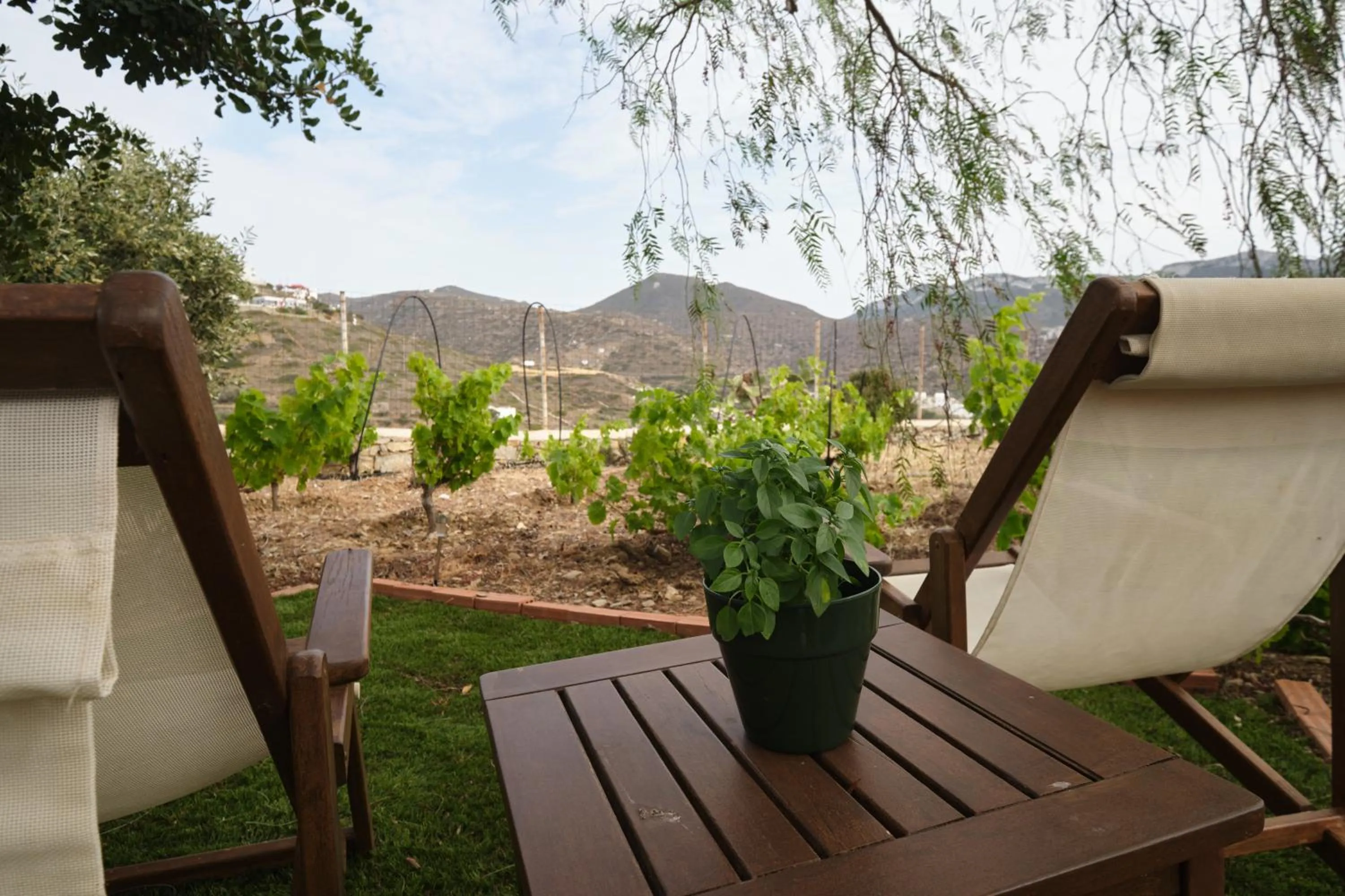 Property building in Amorgion Village