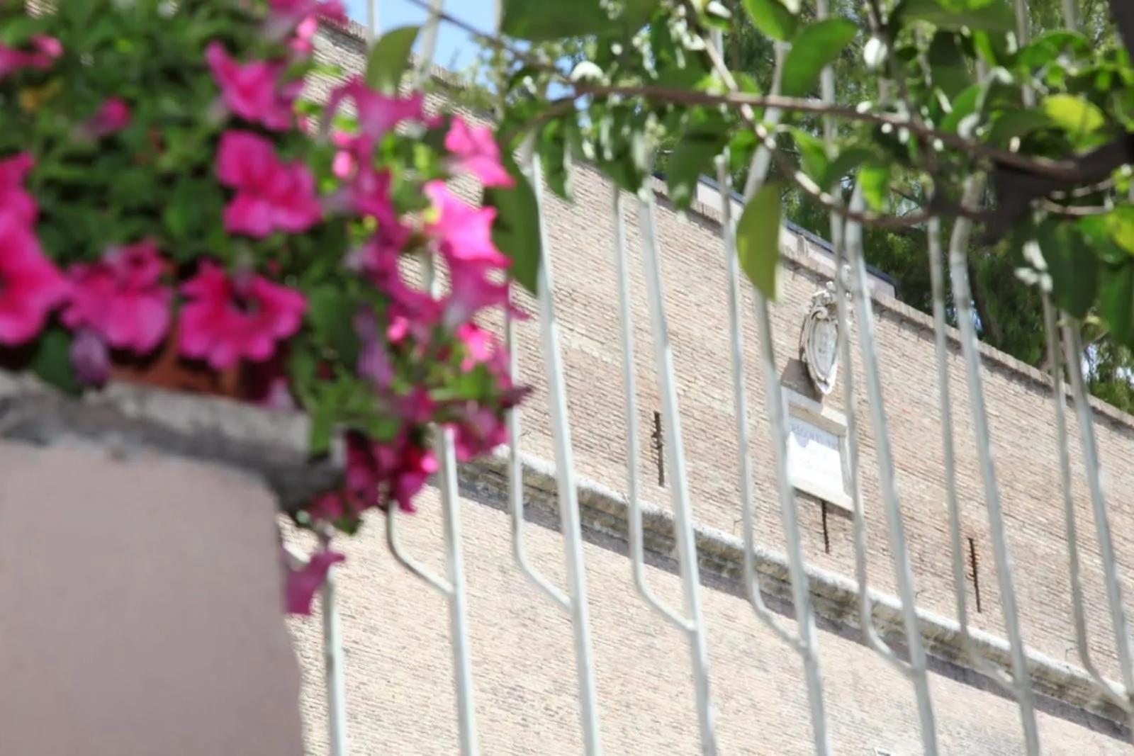 Nearby landmark in Vaticano84