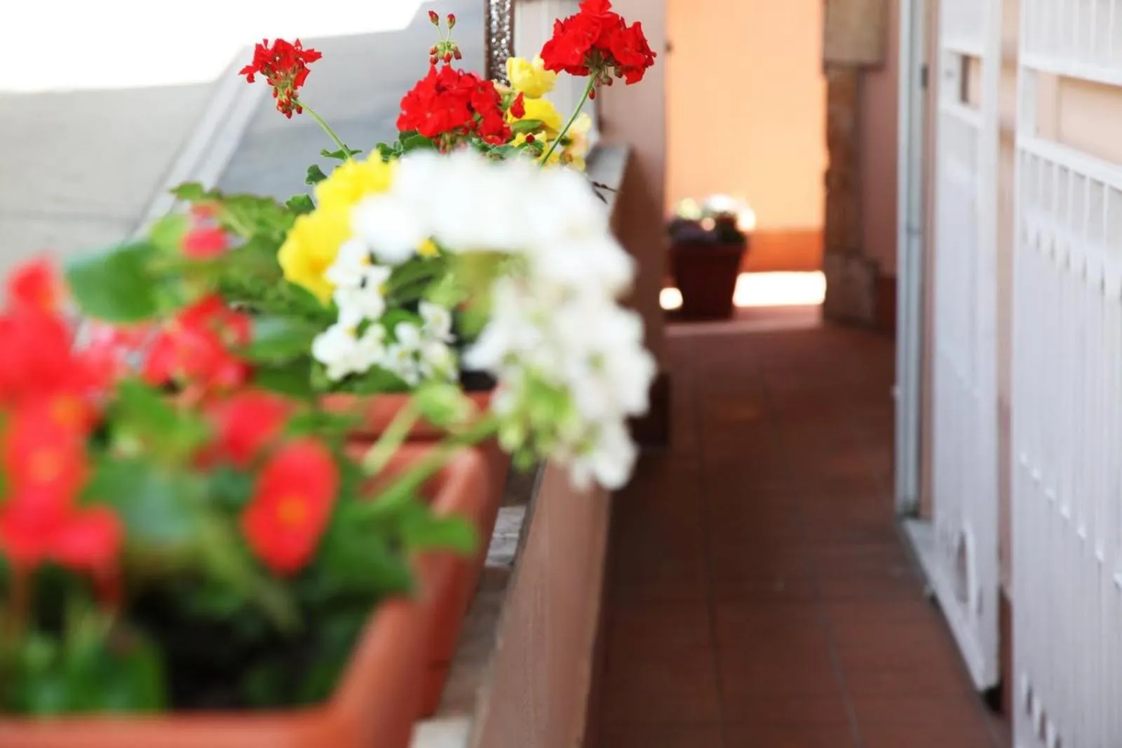 Spring in Vaticano84