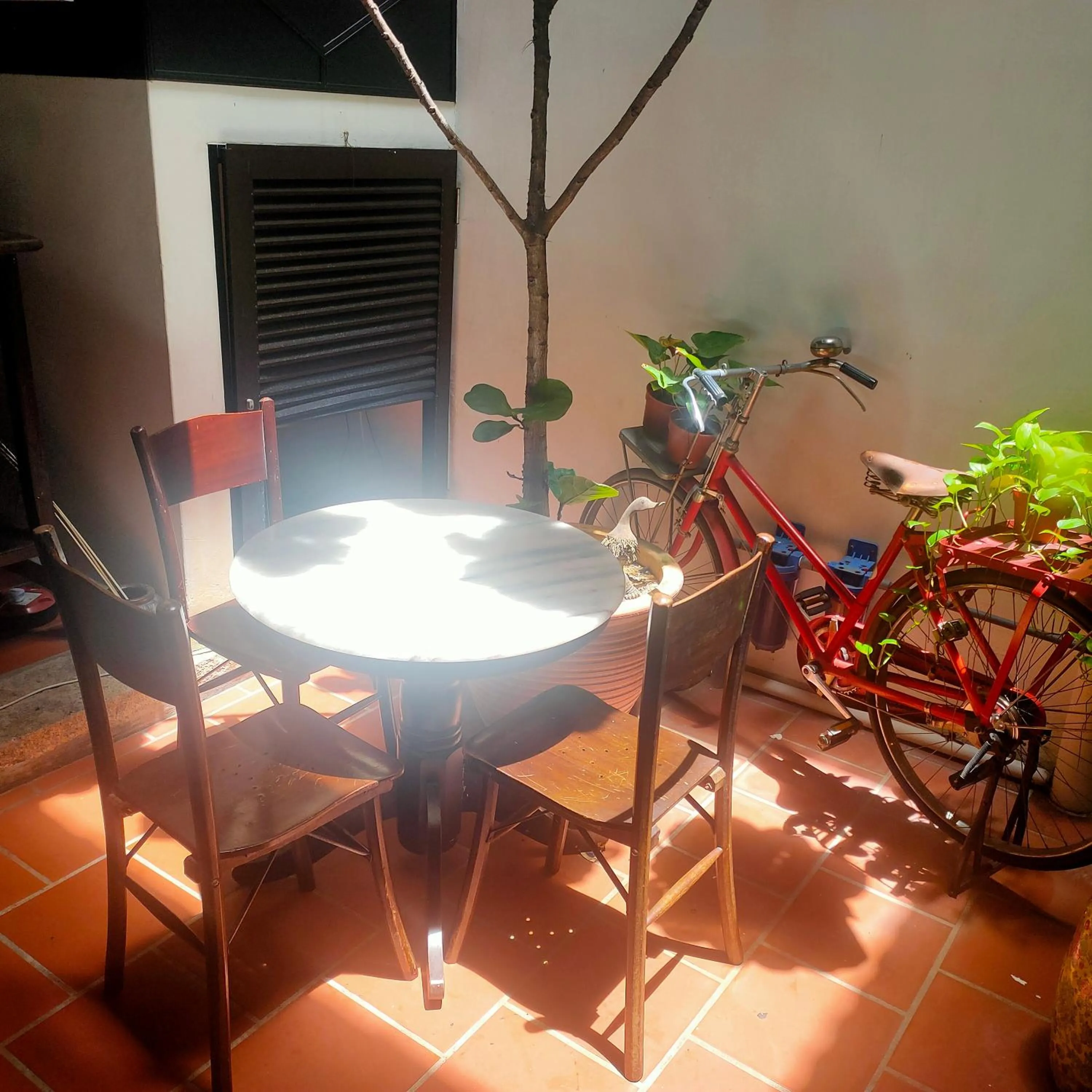 Colin's Place