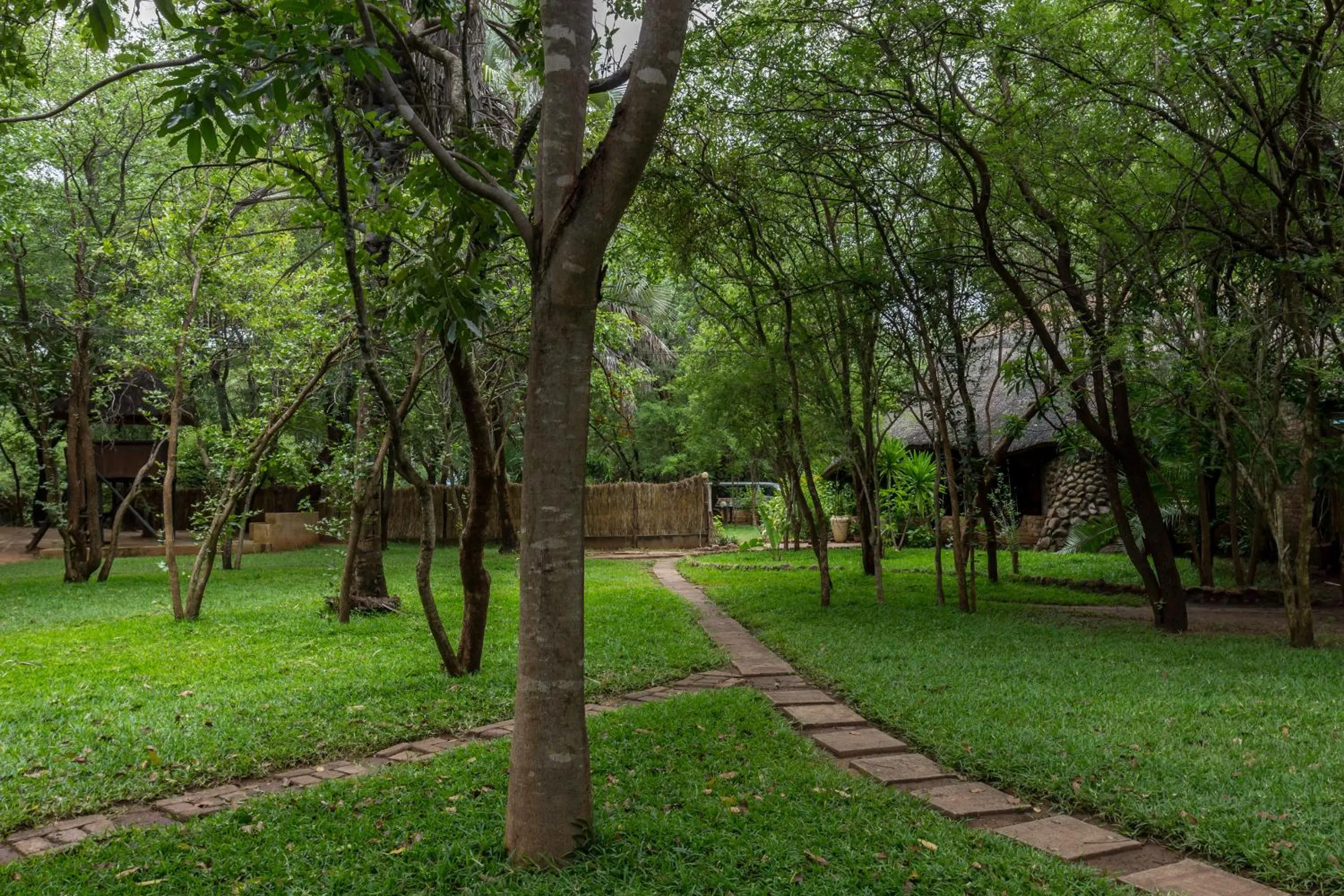Garden in The Royal Sichango Village