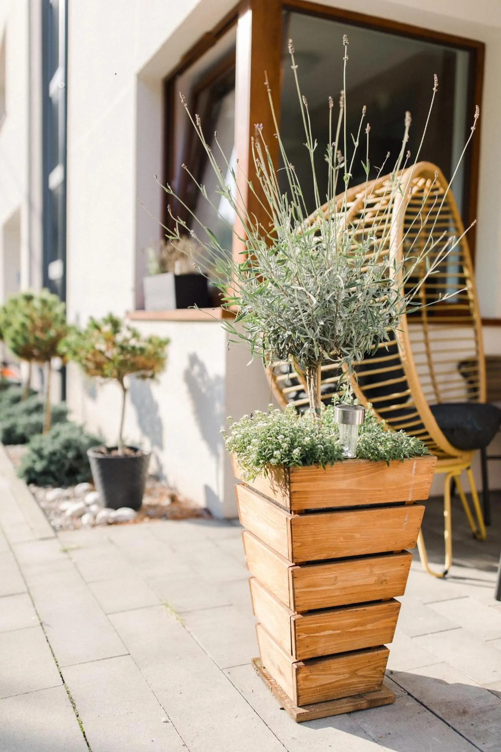 Villa Monica Apartamenty