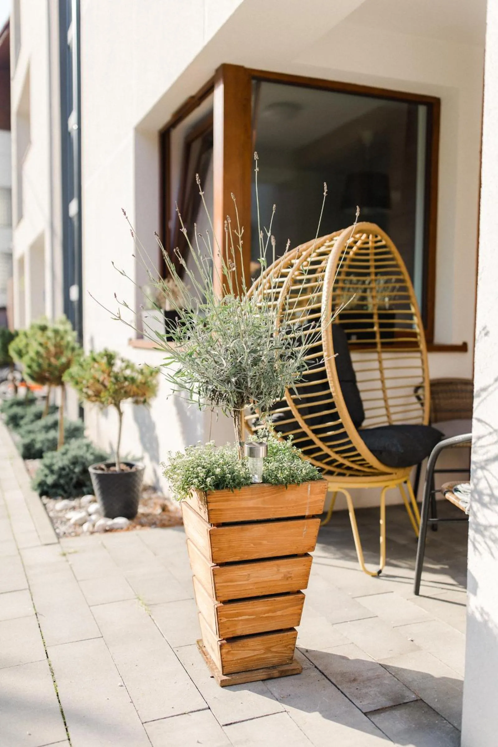 Villa Monica Apartamenty