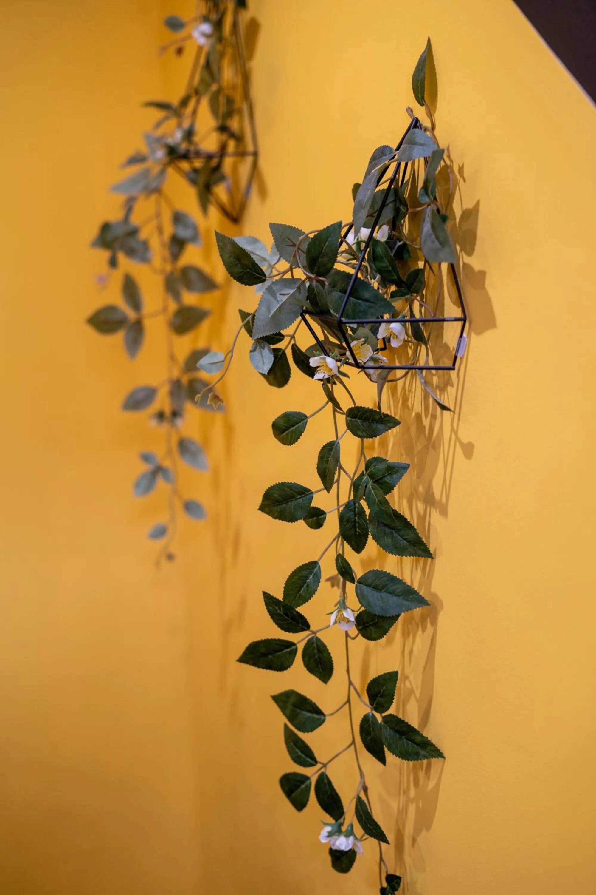 Decorative detail in Capstay Color Valenciennes & Netflix