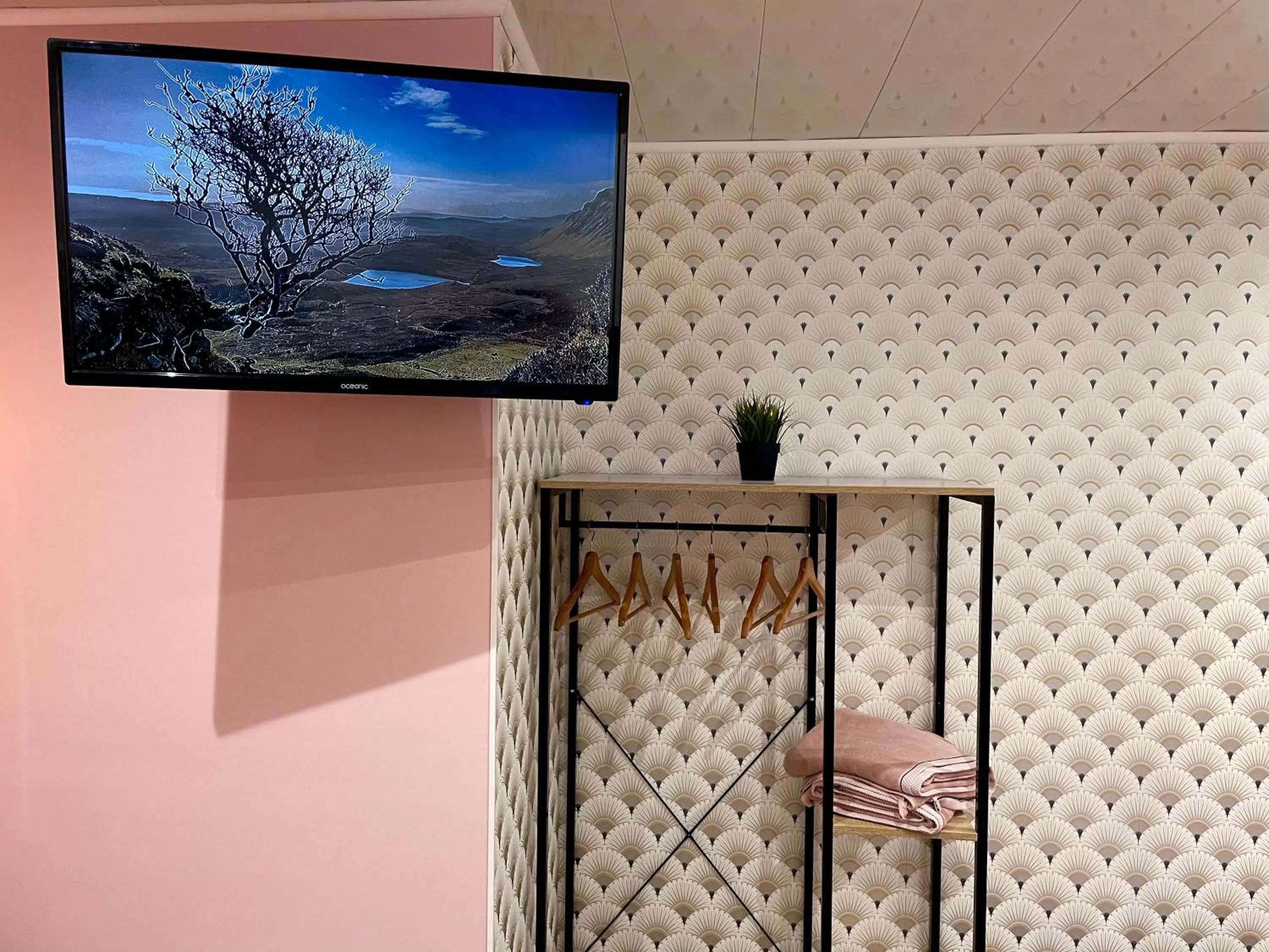 TV and multimedia in Capstay Color Valenciennes & Netflix