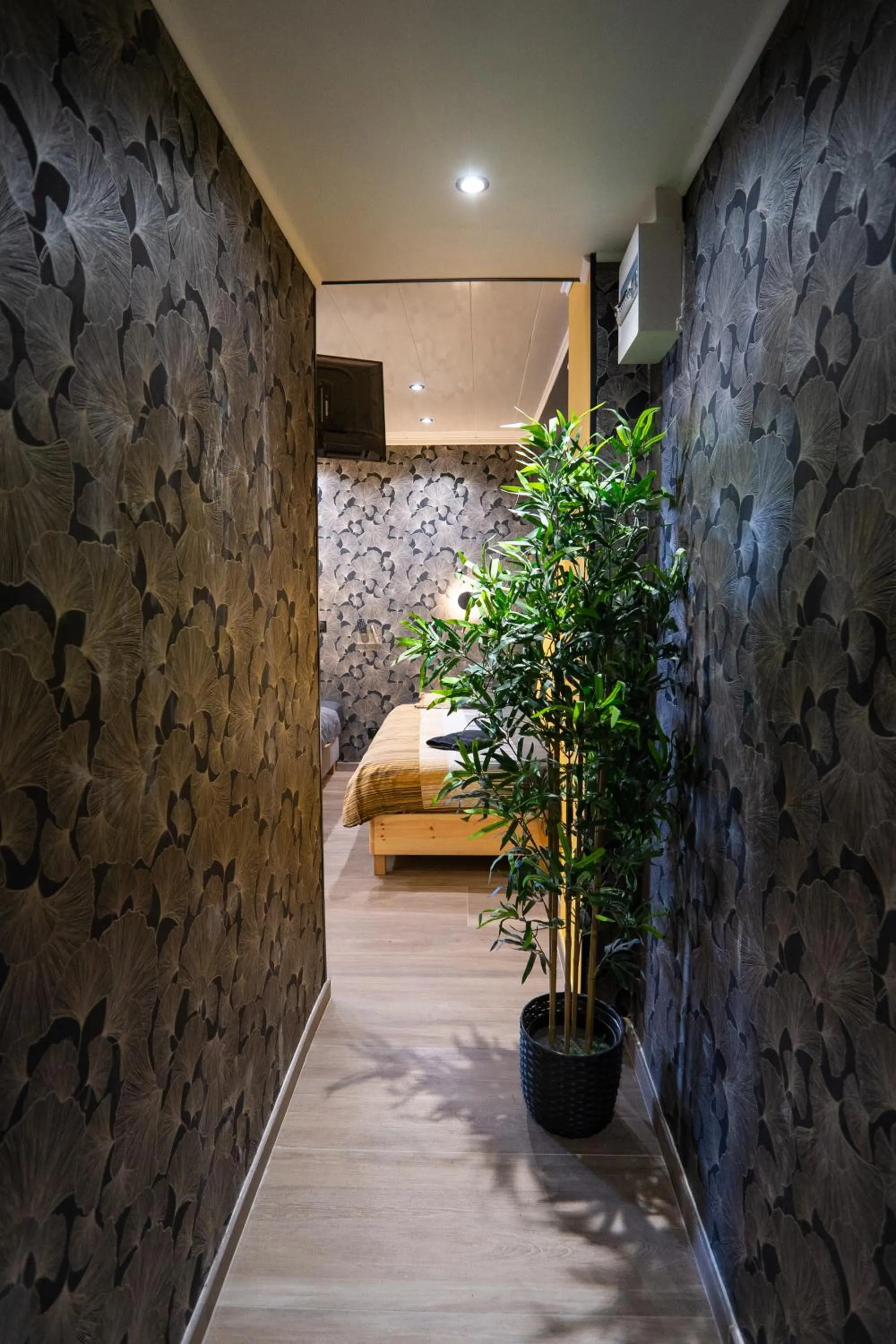 Photo of the whole room in Capstay Color Valenciennes & Netflix