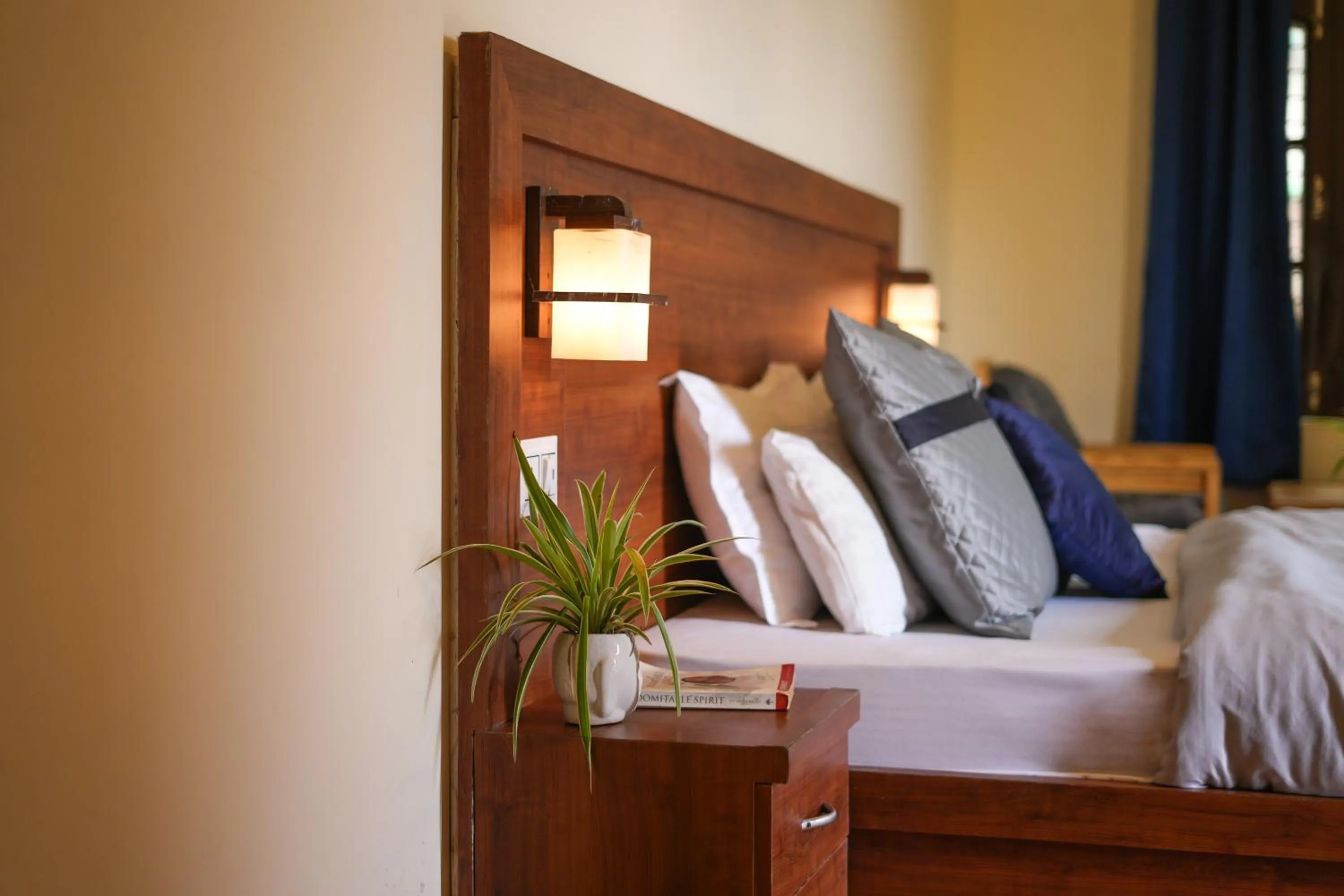 Bed in Shalom Backpackers Rishikesh