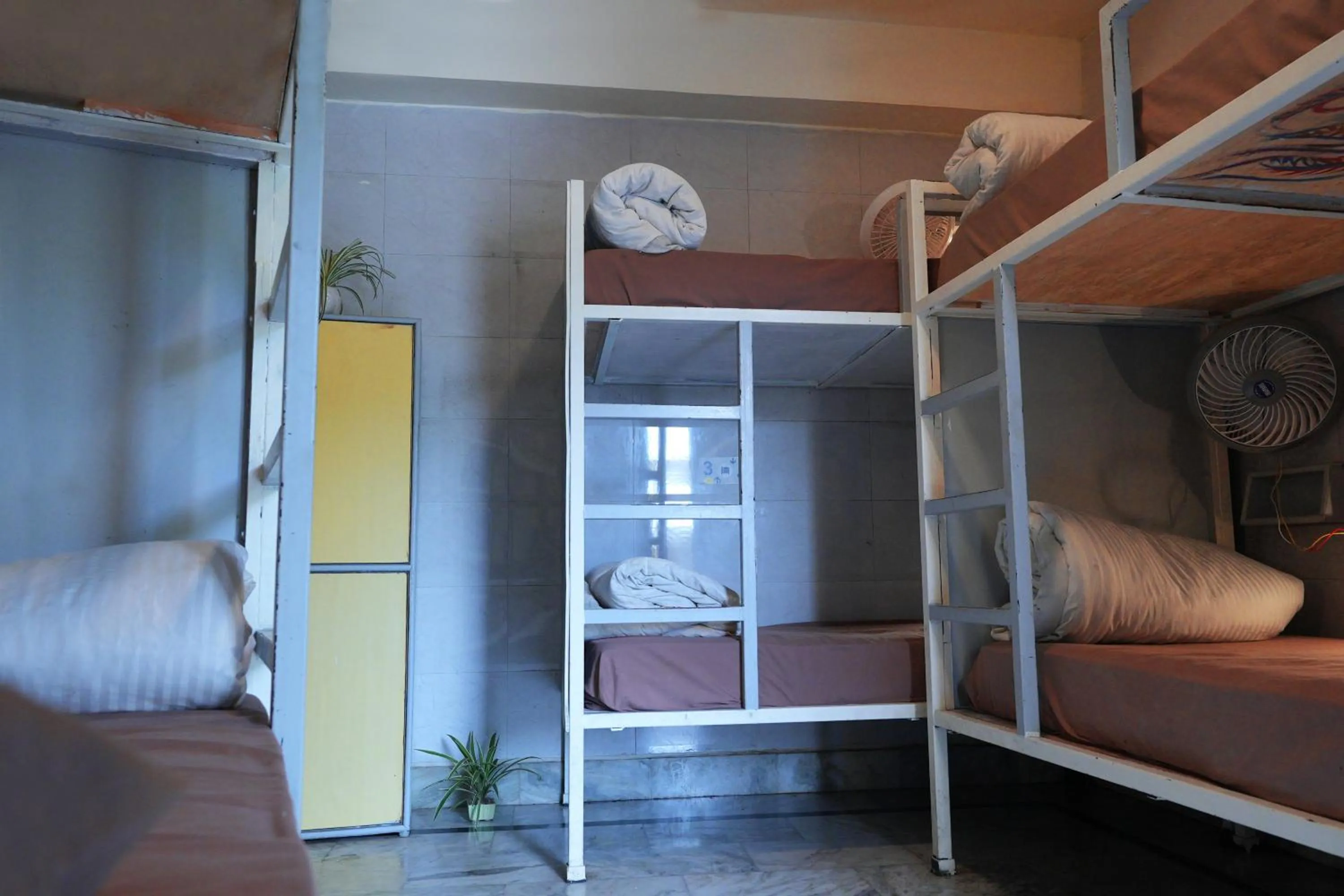 Bed in Shalom Backpackers Rishikesh