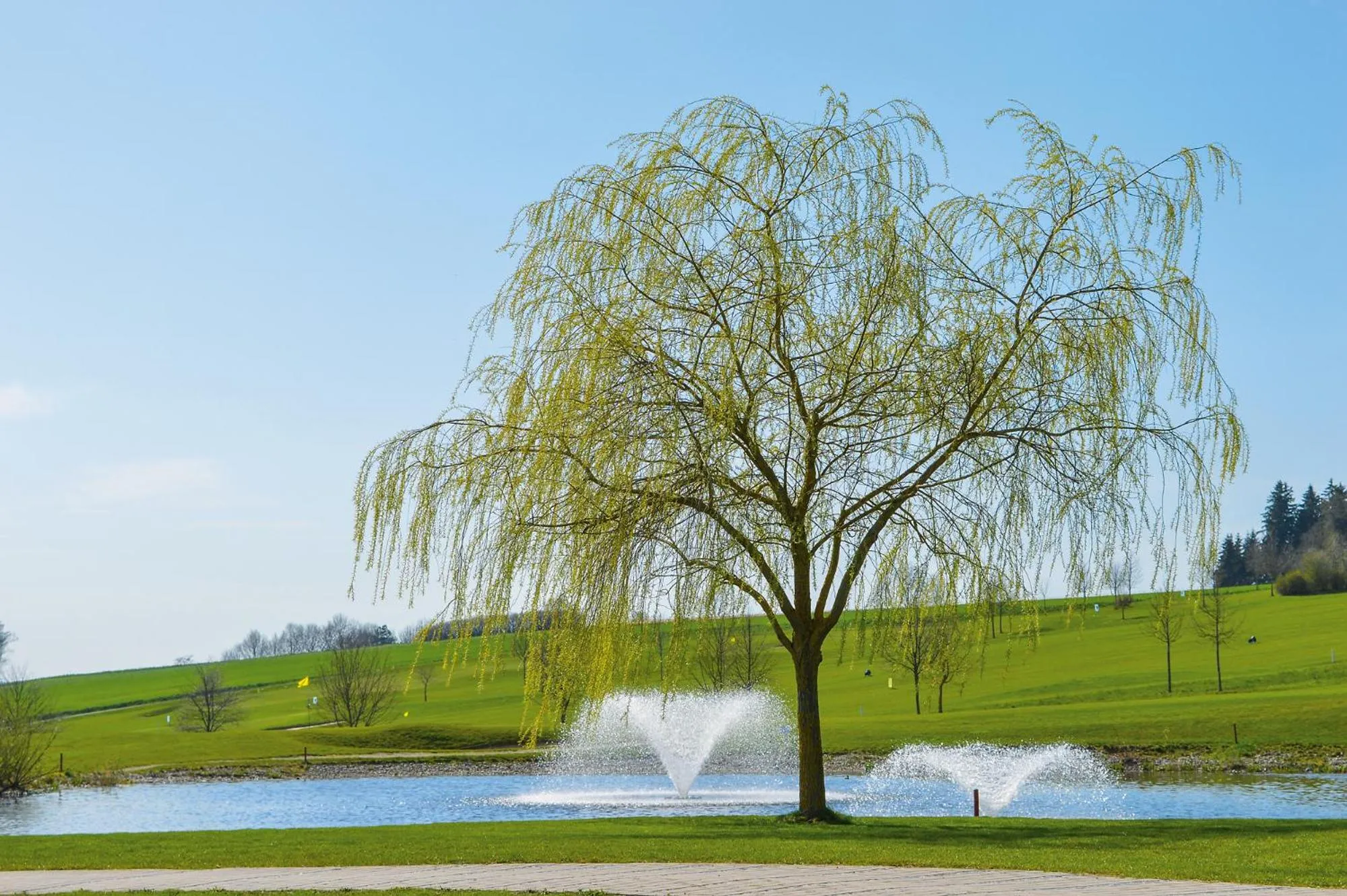 Golfcourse in Hotel Rottaler Hof