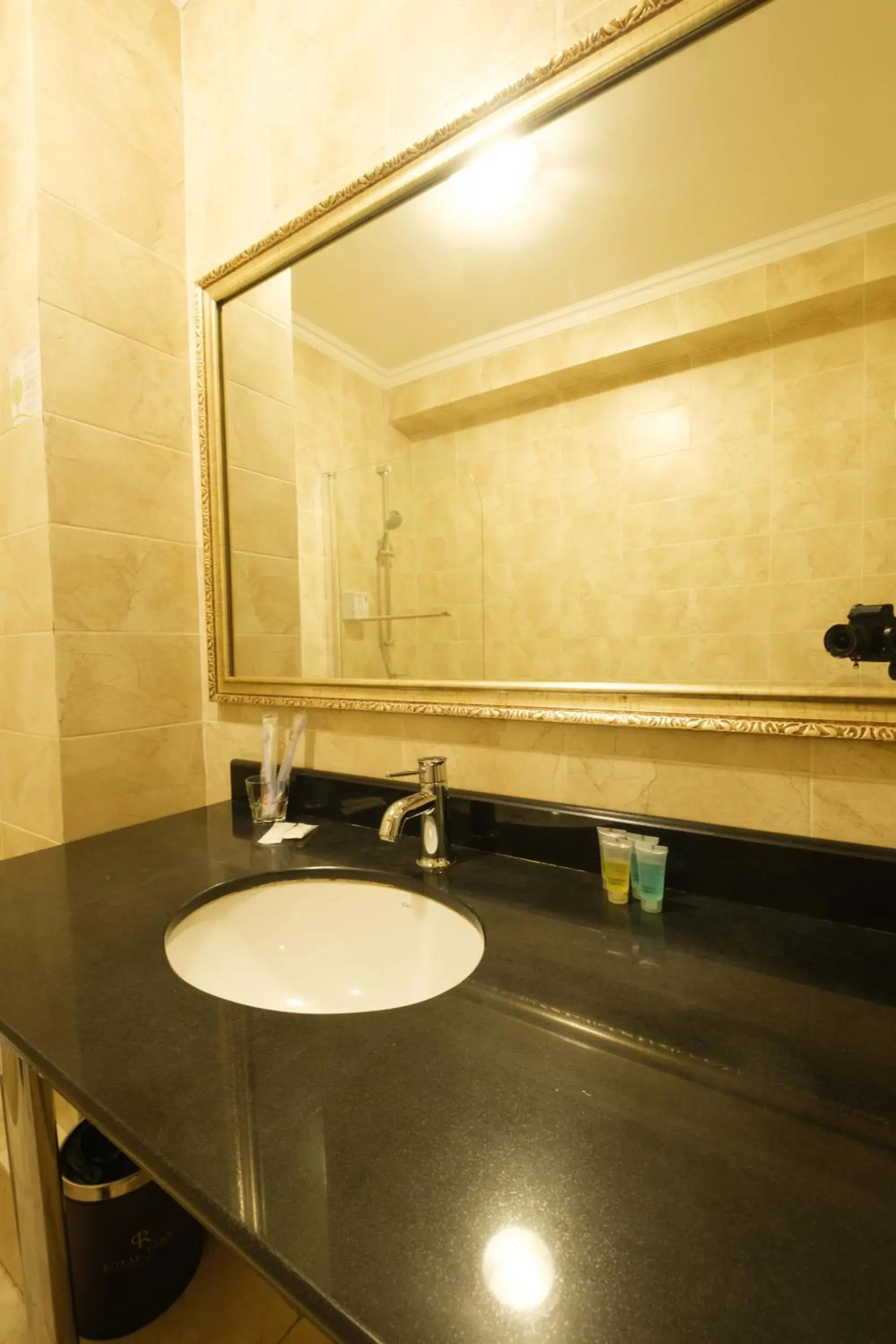 Bathroom in REIKARTZ PARK ASTANA ex-Royal Park Hotel & SPA Bathroom in REIKARTZ PARK ASTANA ex-Royal Park Hotel & SPA