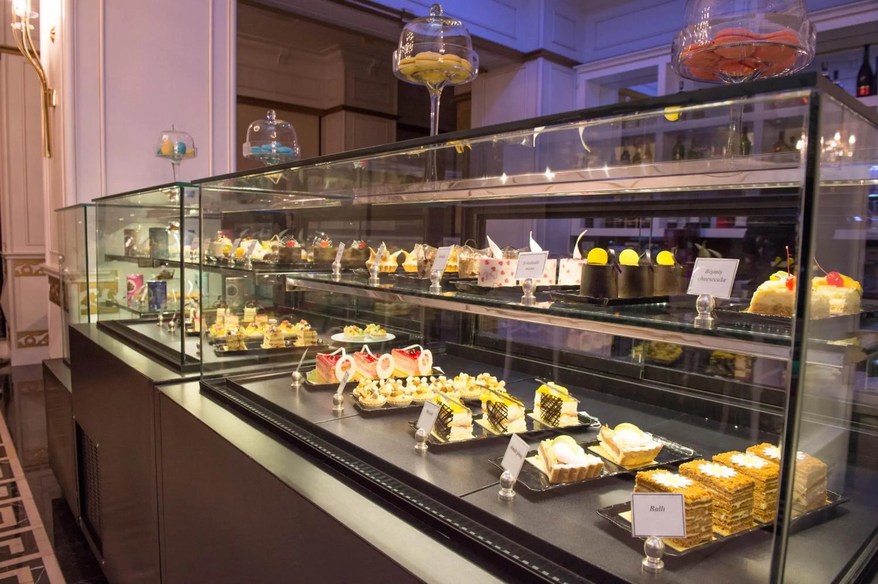 Lobby or reception in Graaf Hotel Lobby or reception in Graaf Hotel