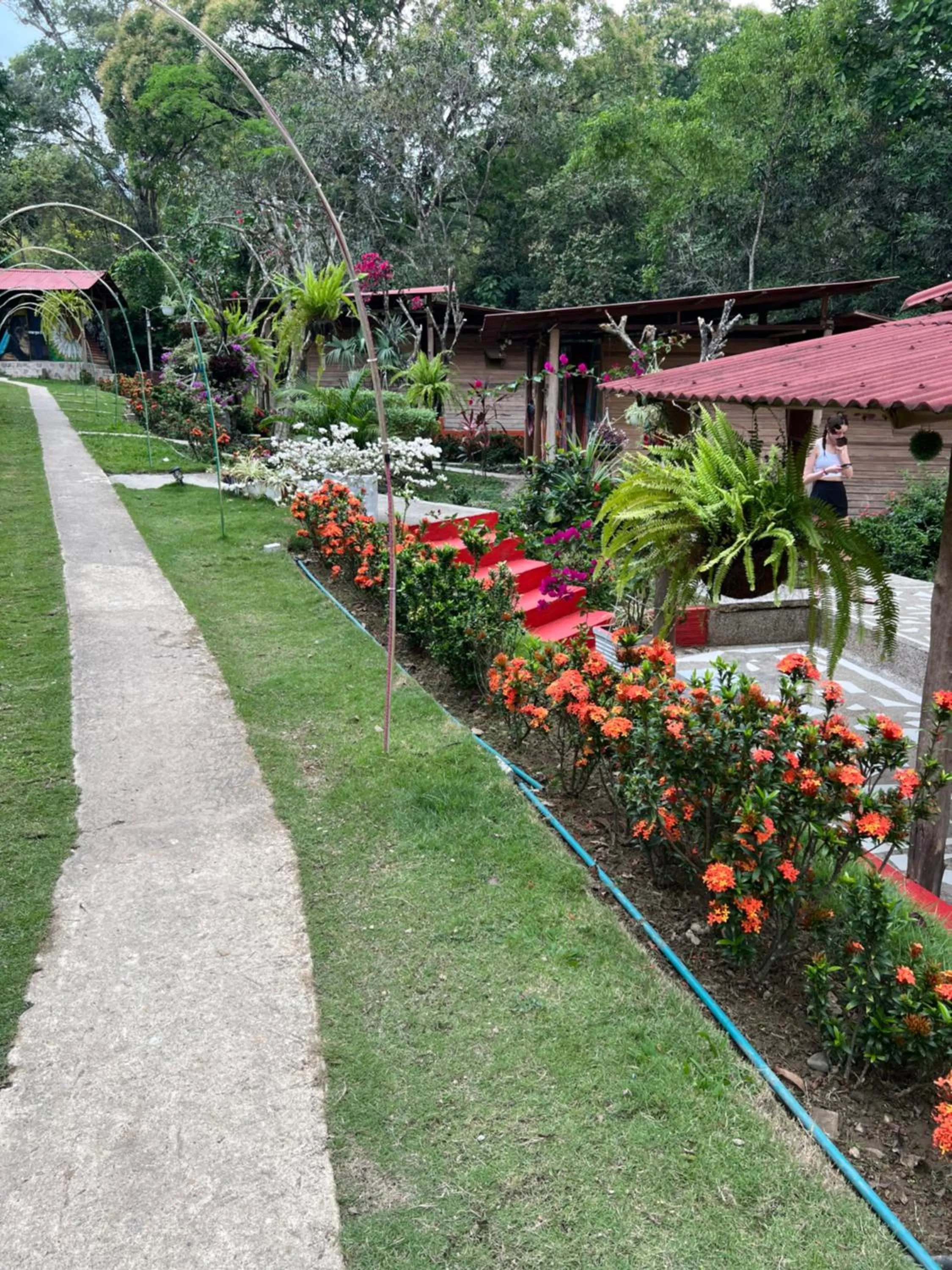 Garden in MINCA Chunuu - glamping - coworking MINCA