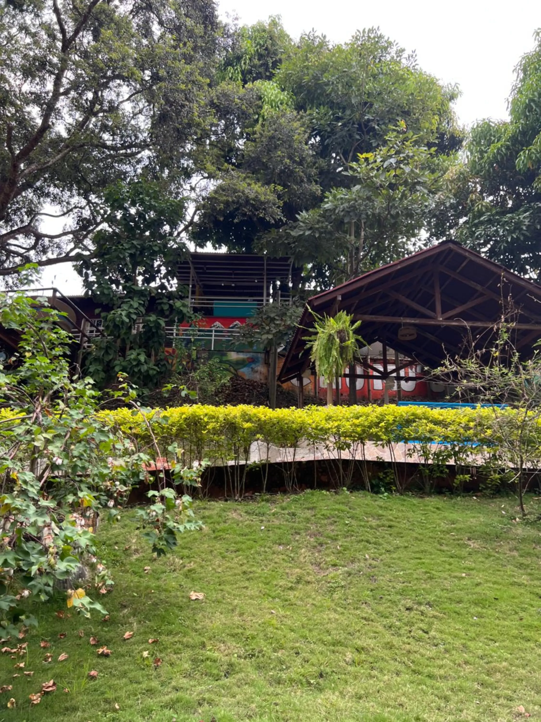 Garden in MINCA Chunuu - glamping - coworking MINCA