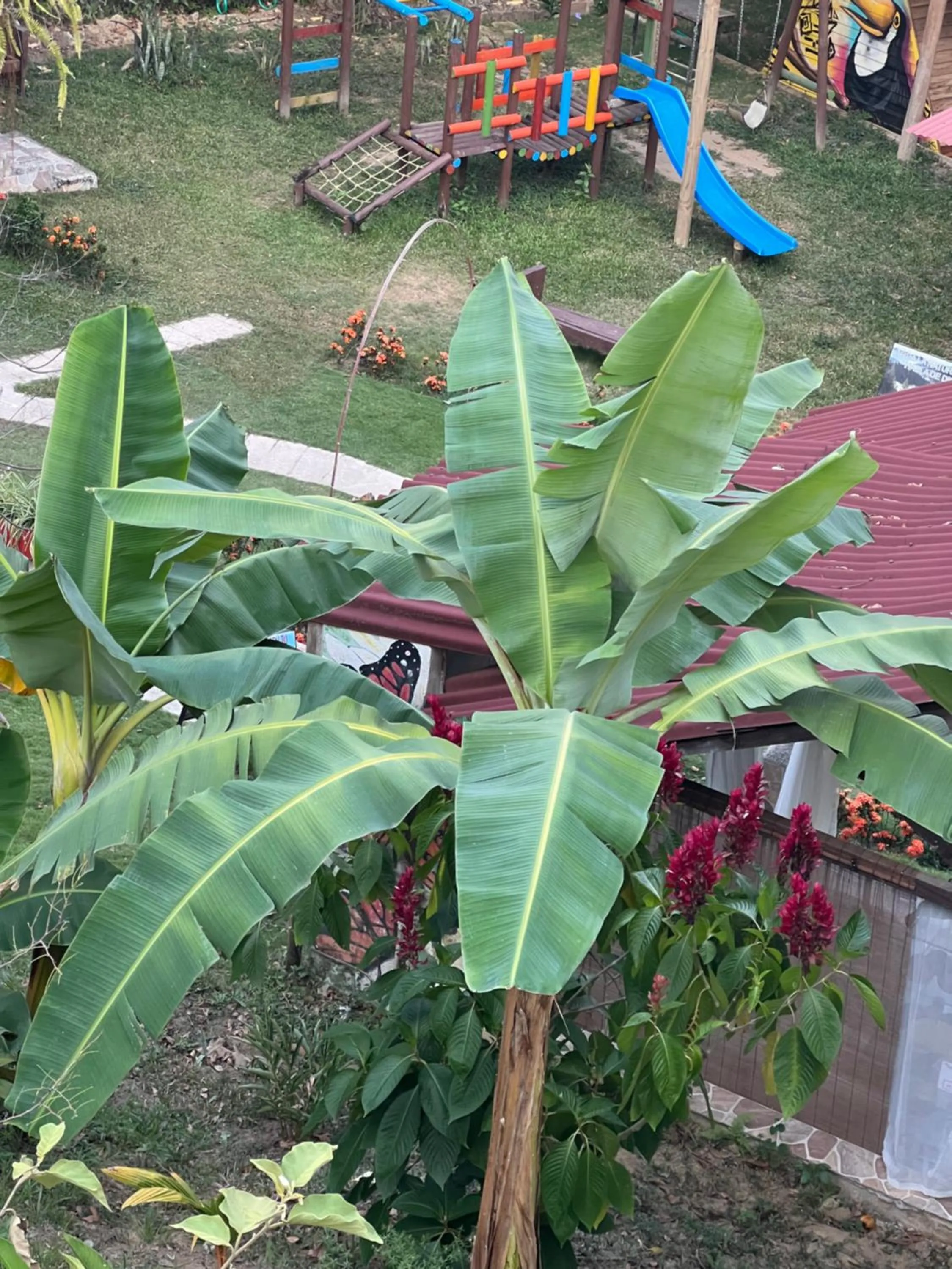 Natural landscape in MINCA Chunuu - glamping - coworking MINCA