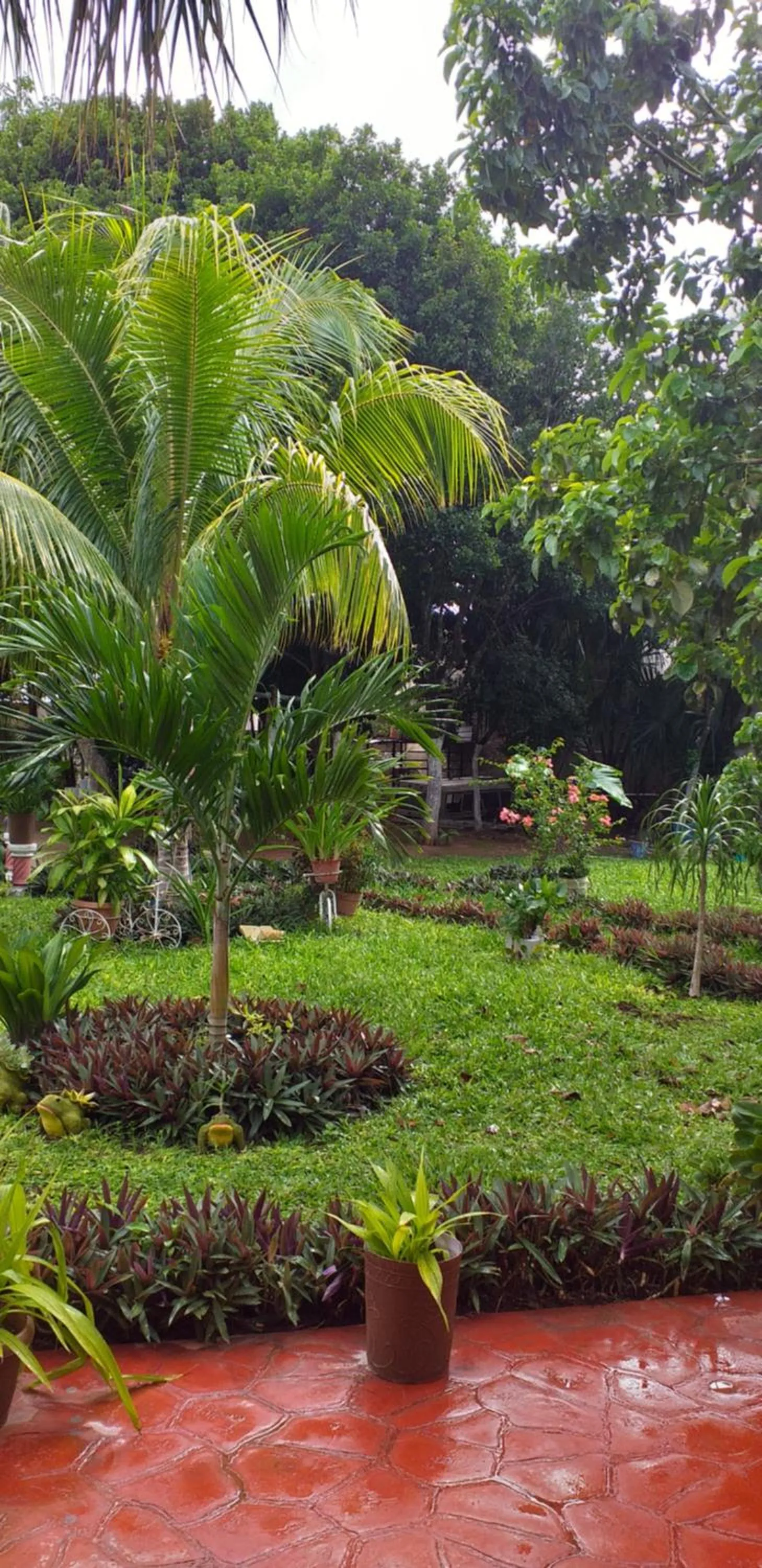 Casa Palagui Colonial