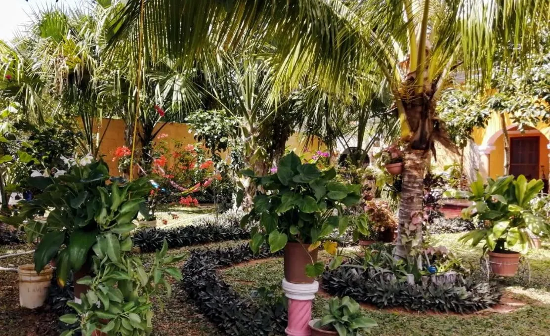 Casa Palagui Colonial