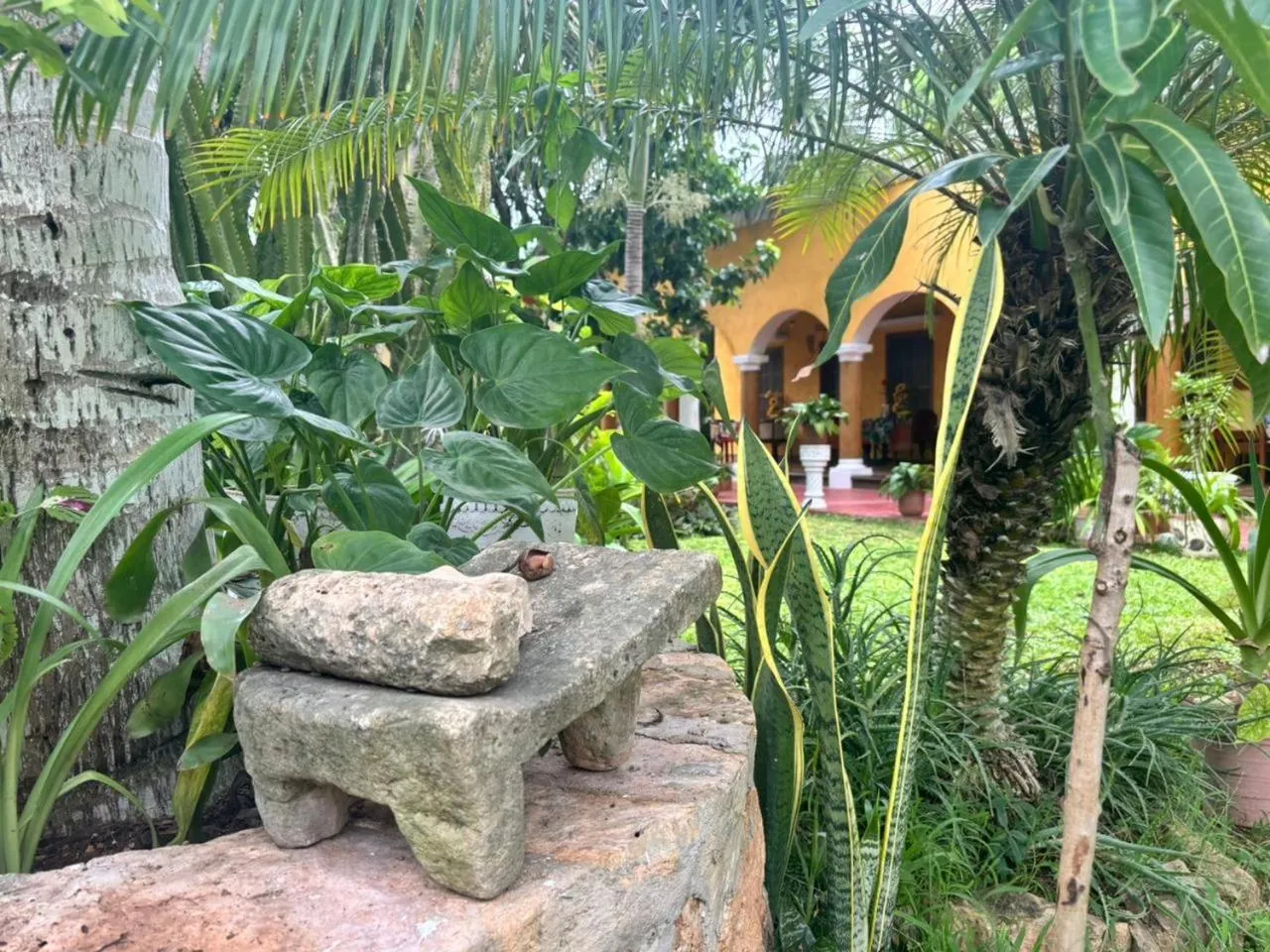 Casa Palagui Colonial