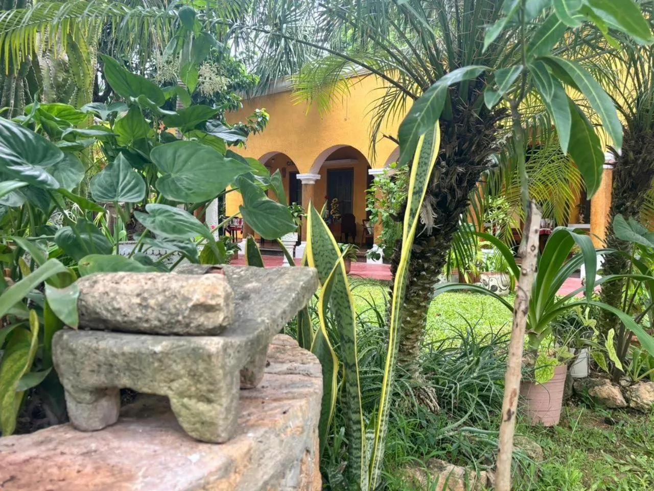 Casa Palagui Colonial
